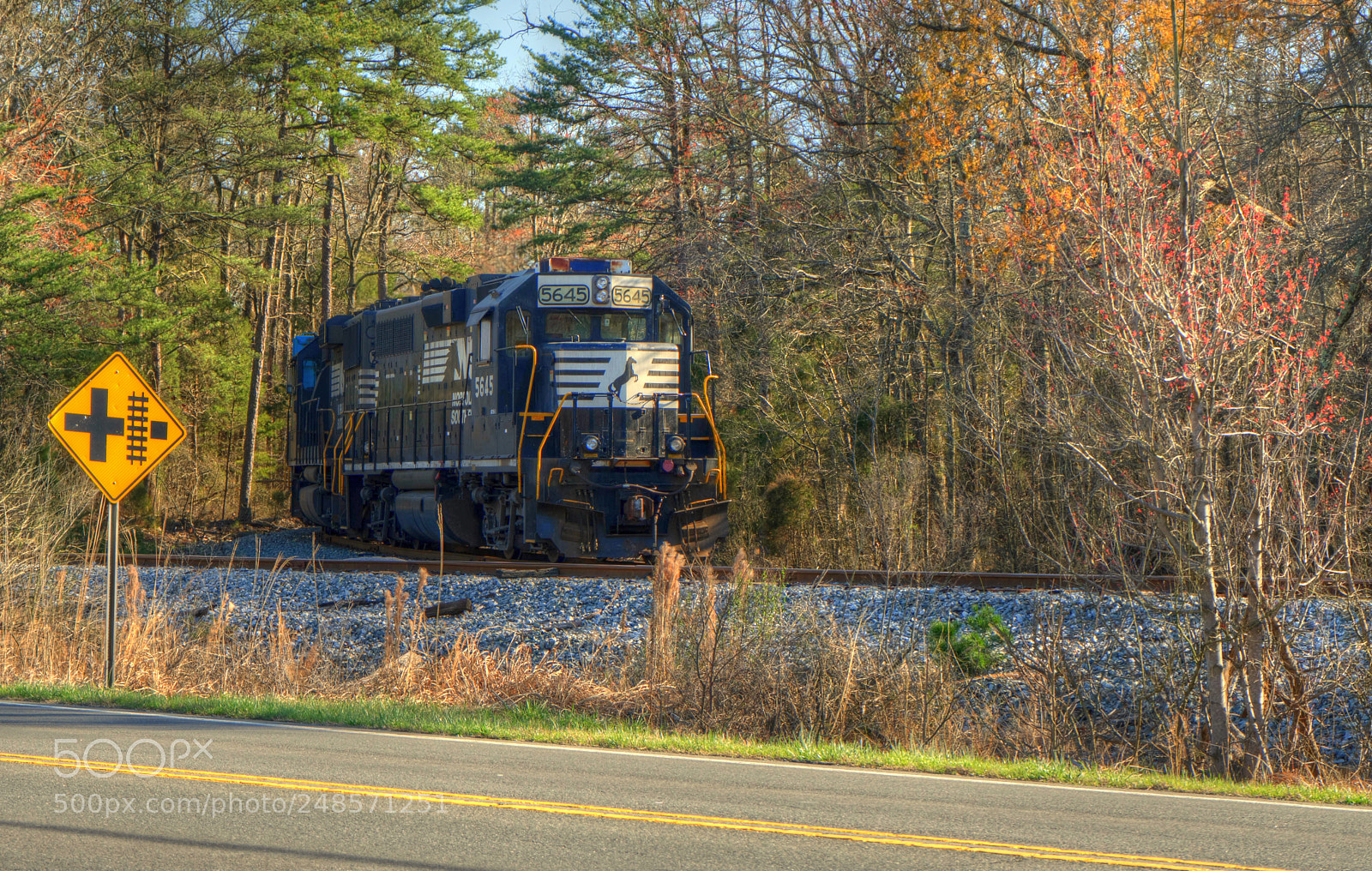 Sony a7 II sample photo. Train in the woods photography