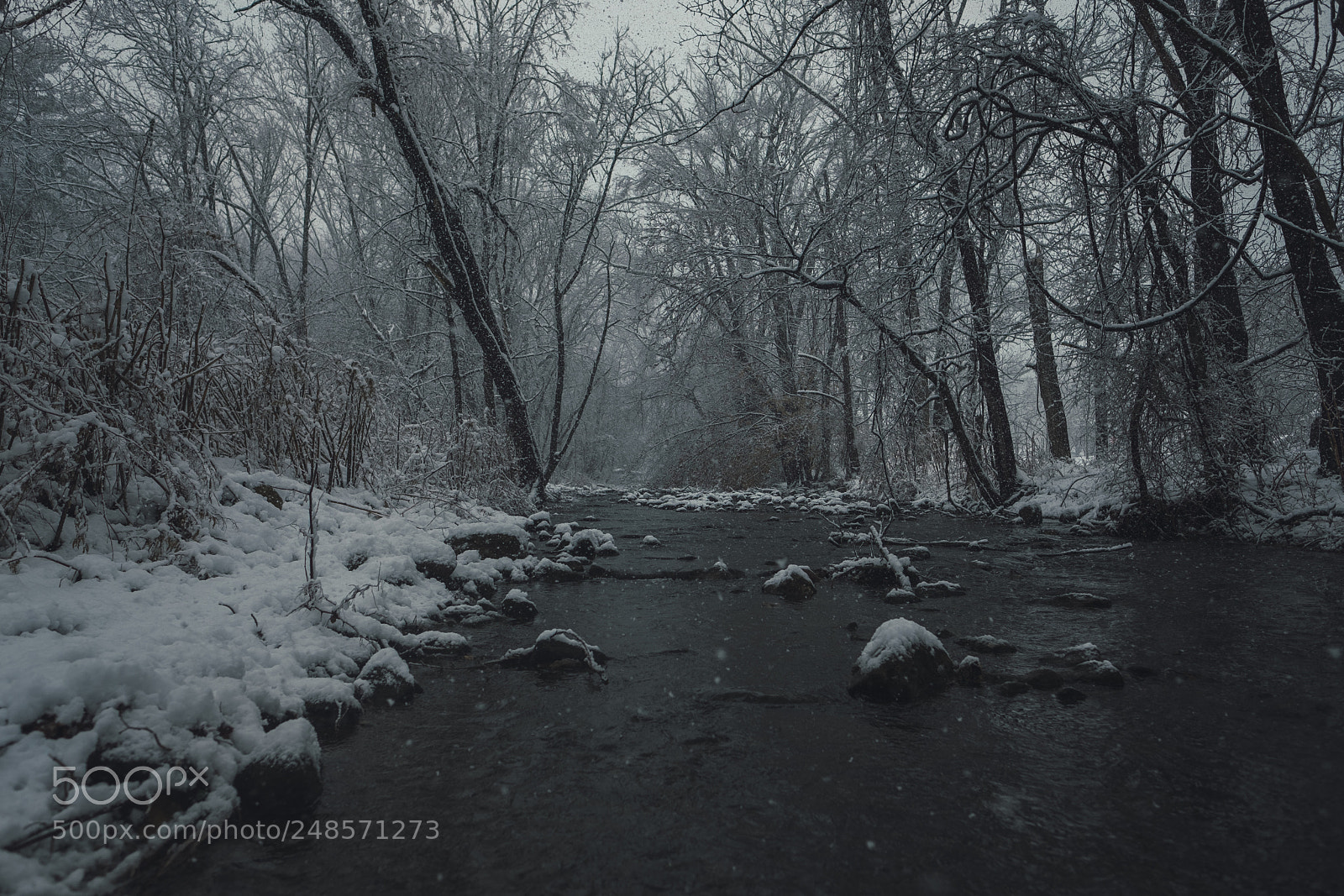 Fujifilm X-Pro2 sample photo. Noreaster photography