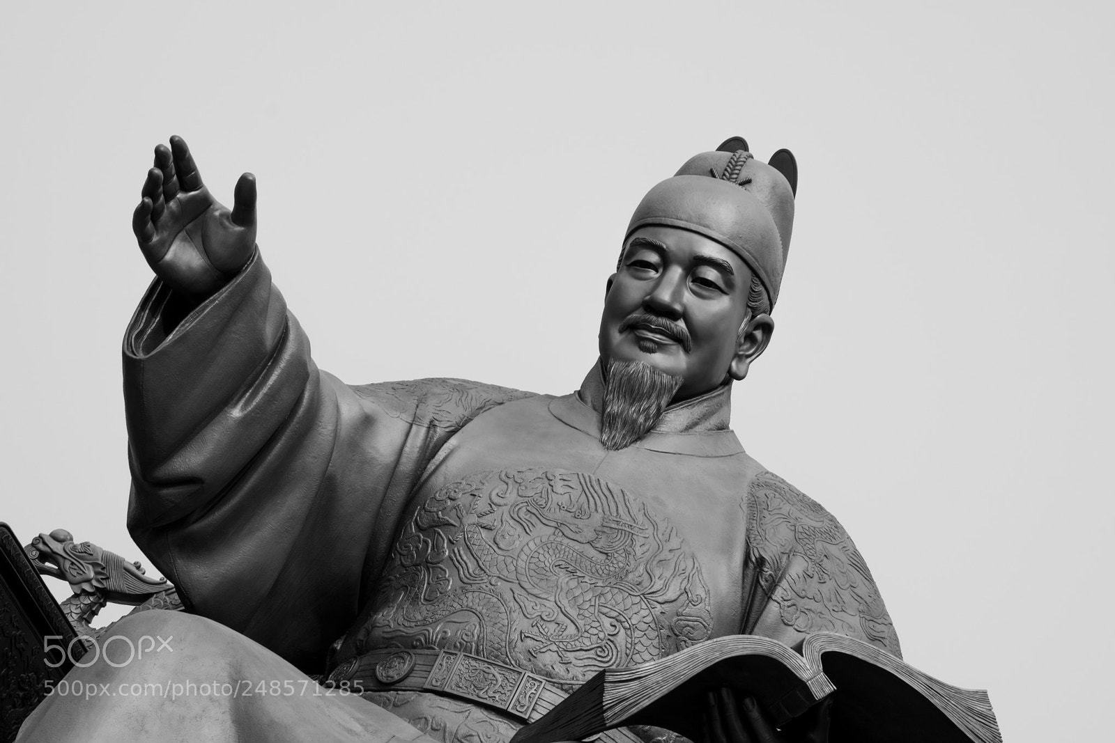Nikon D5300 sample photo. A gloomy king photography