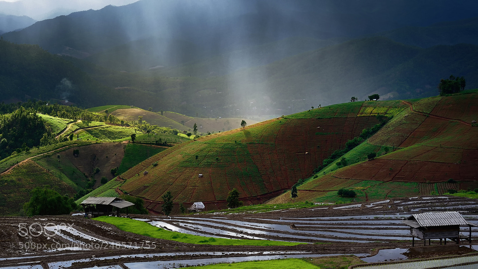 Nikon D600 sample photo. Rain season photography