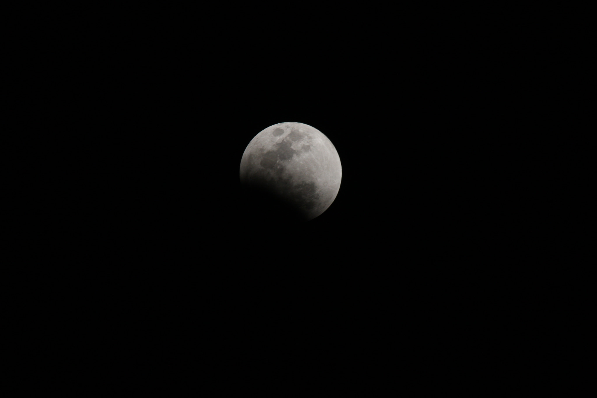 Canon EF 100-400mm F4.5-5.6L IS USM sample photo