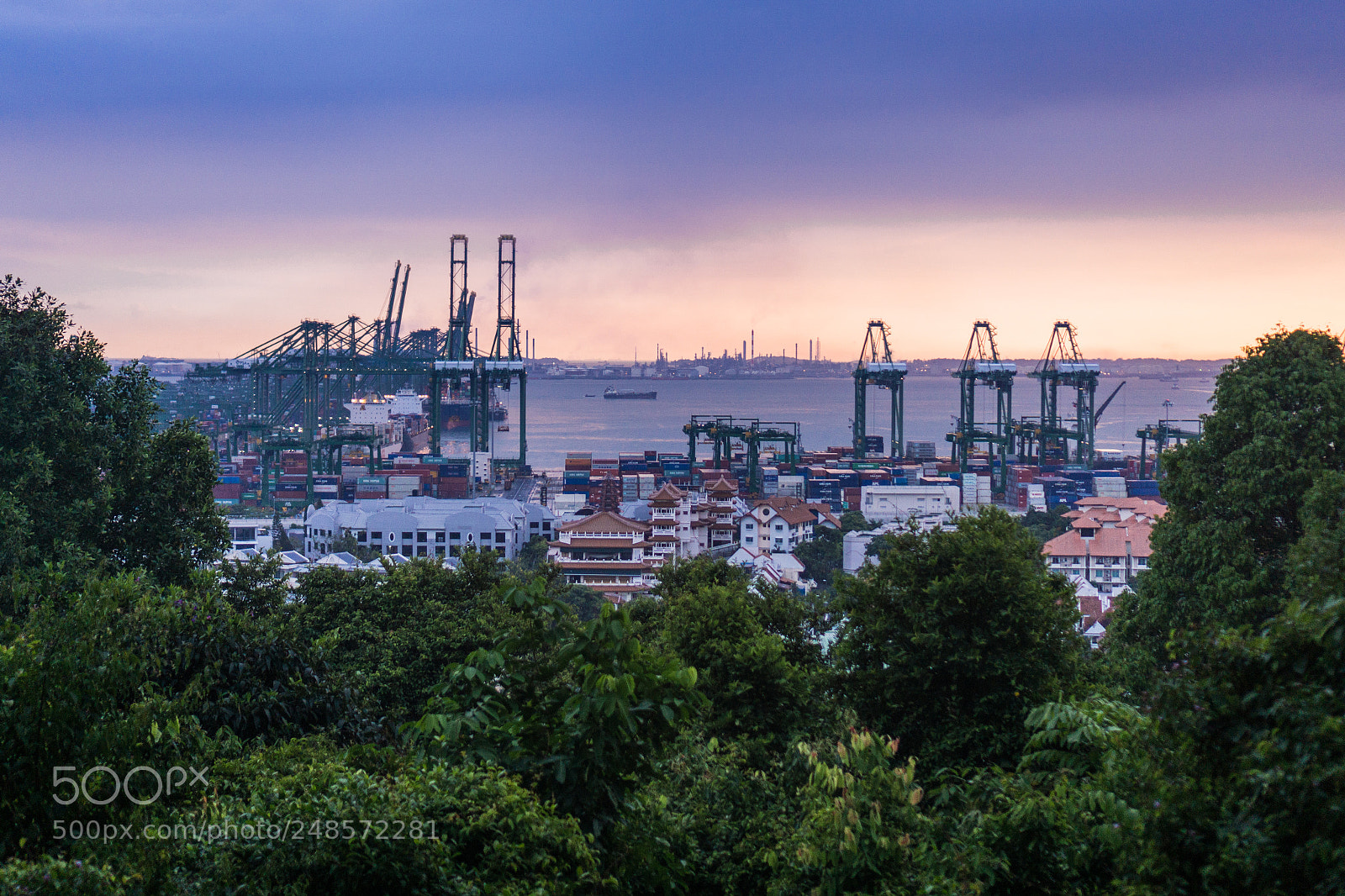 Sony a6000 sample photo. Cranes or giraffes? photography
