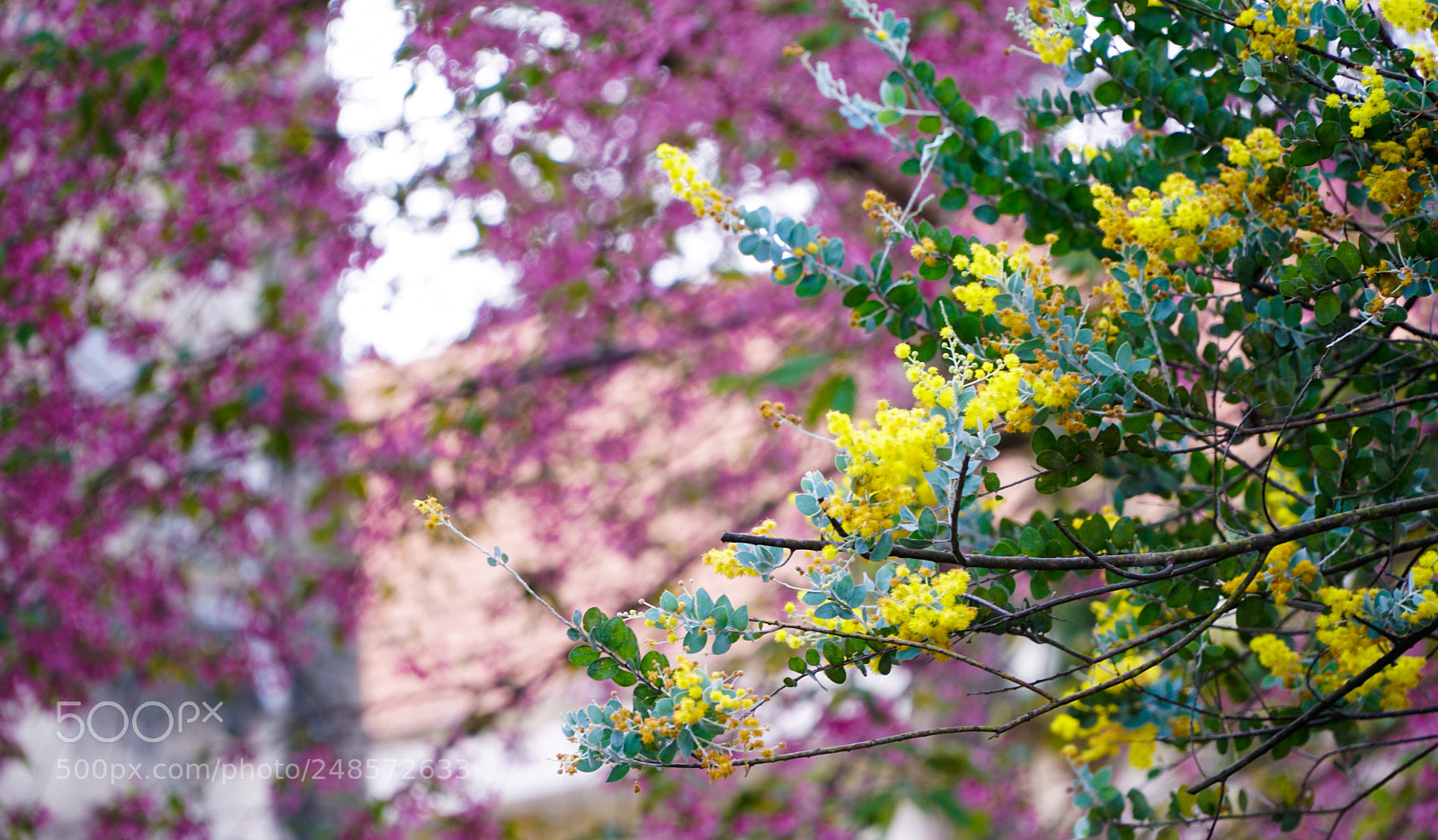 Sony a6300 sample photo. Ttl photography