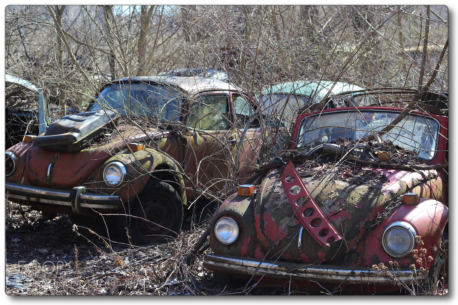 Canon EOS 1300D (EOS Rebel T6 / EOS Kiss X80) sample photo. Volkswagen beetles from a photography