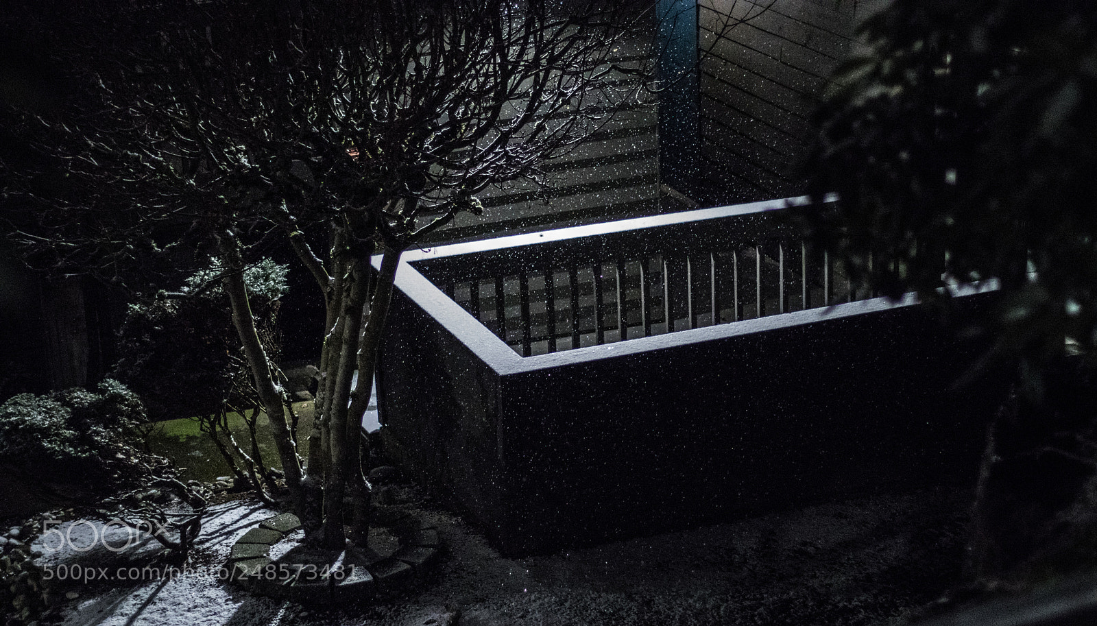 Canon EOS 80D sample photo. February snowfall photography