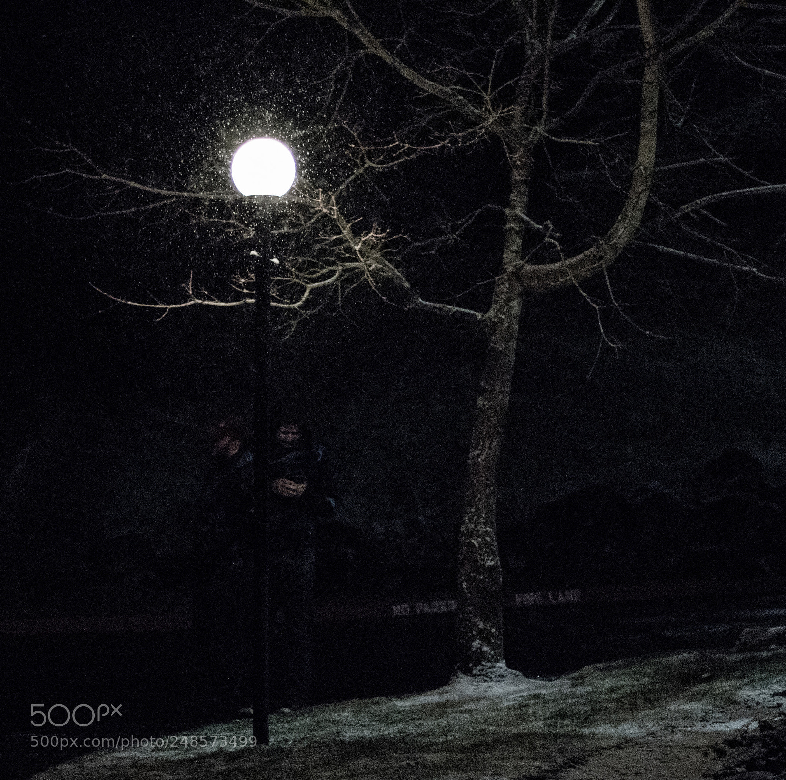 Canon EOS 80D sample photo. February snowfall photography