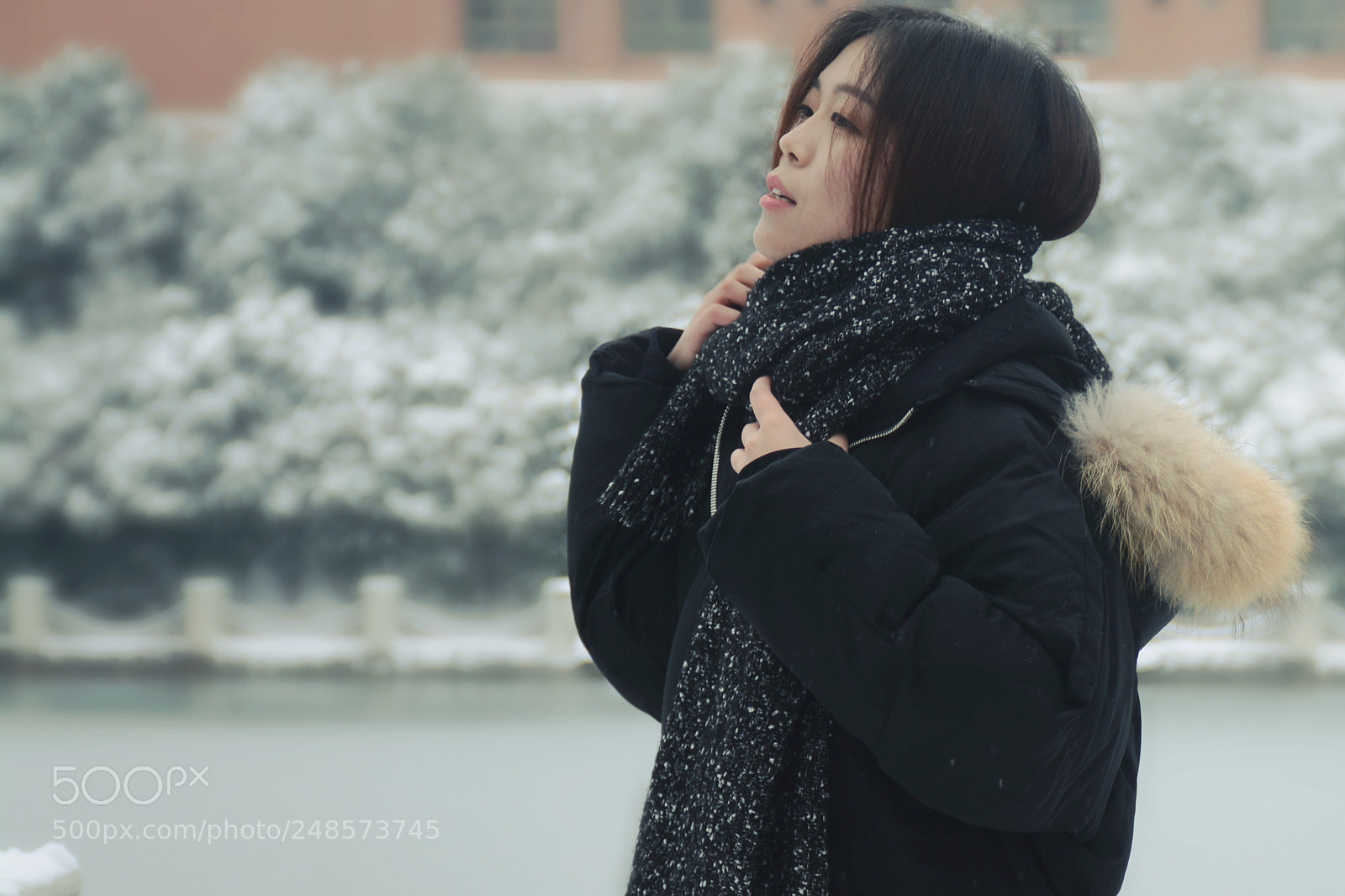 Nikon D7100 sample photo. 雪与围巾 photography
