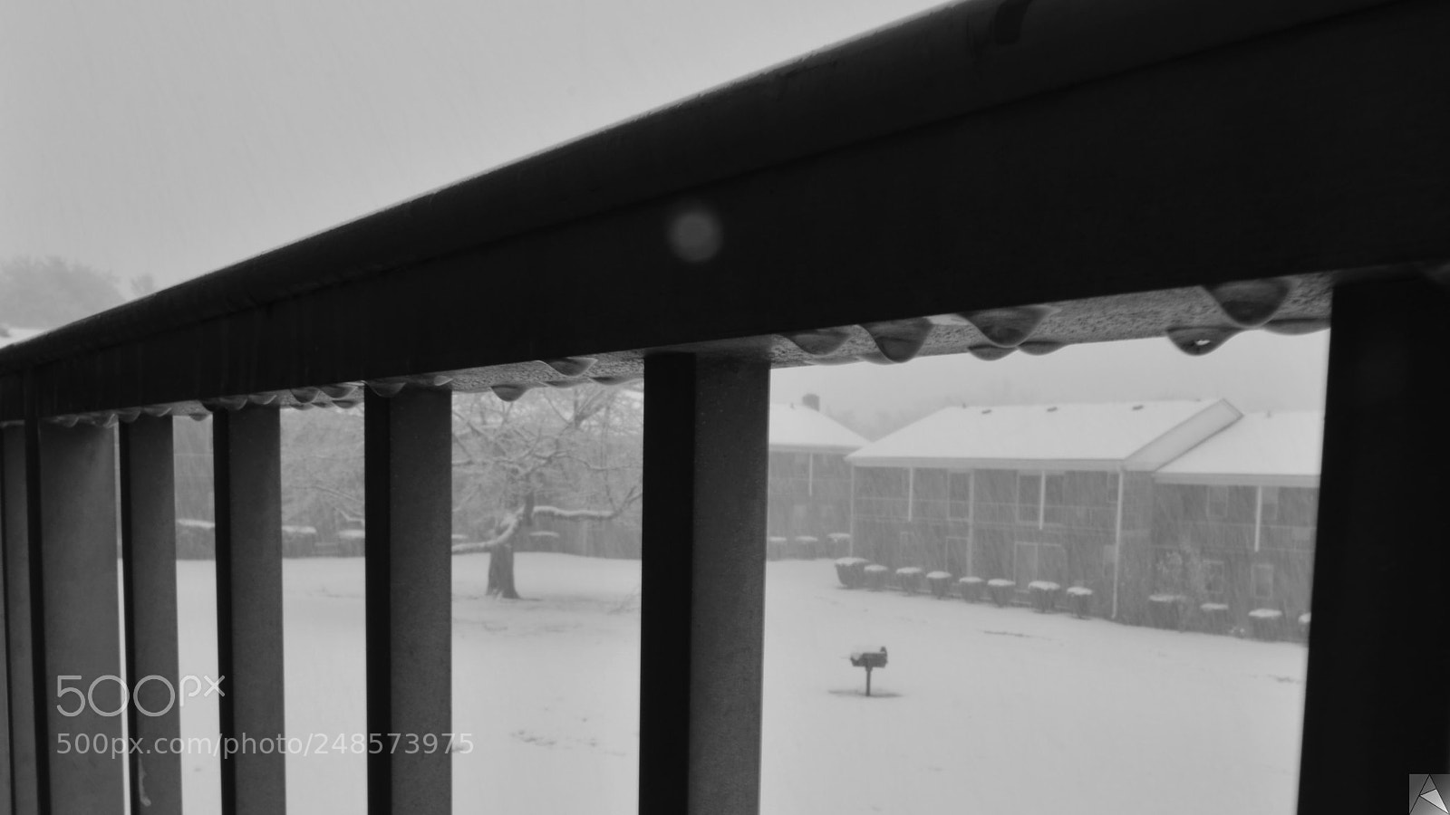 Nikon D5100 sample photo. Snow day photography