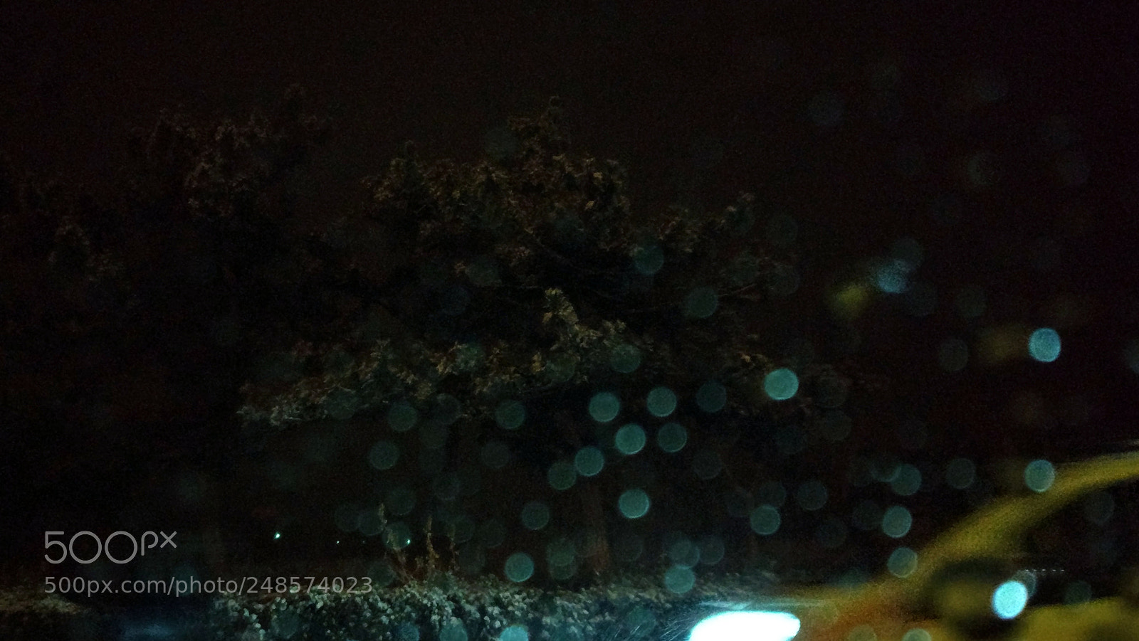 Xiaomi MI 5 sample photo. Untitled photography