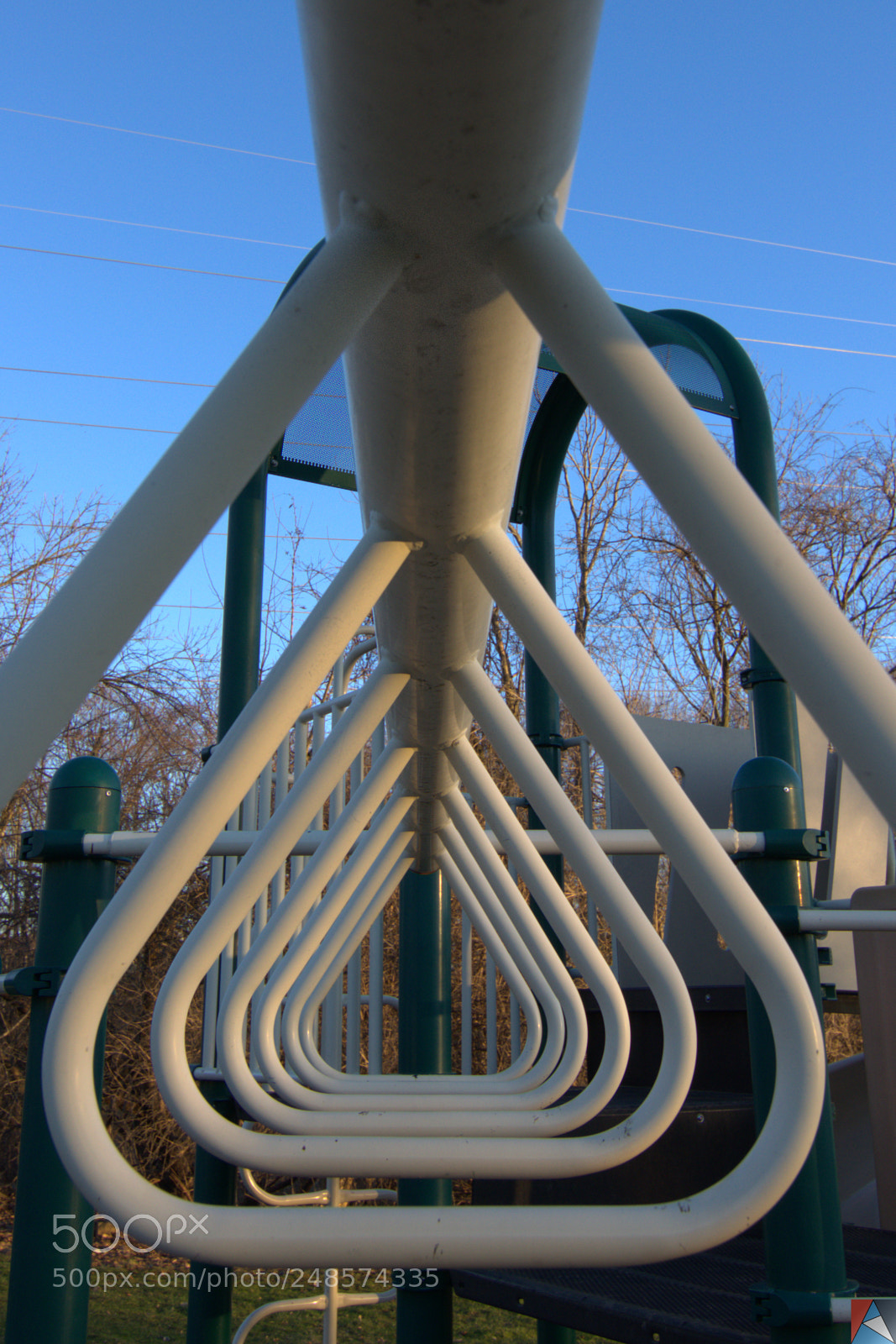 Nikon D5100 sample photo. Patterns in park photography