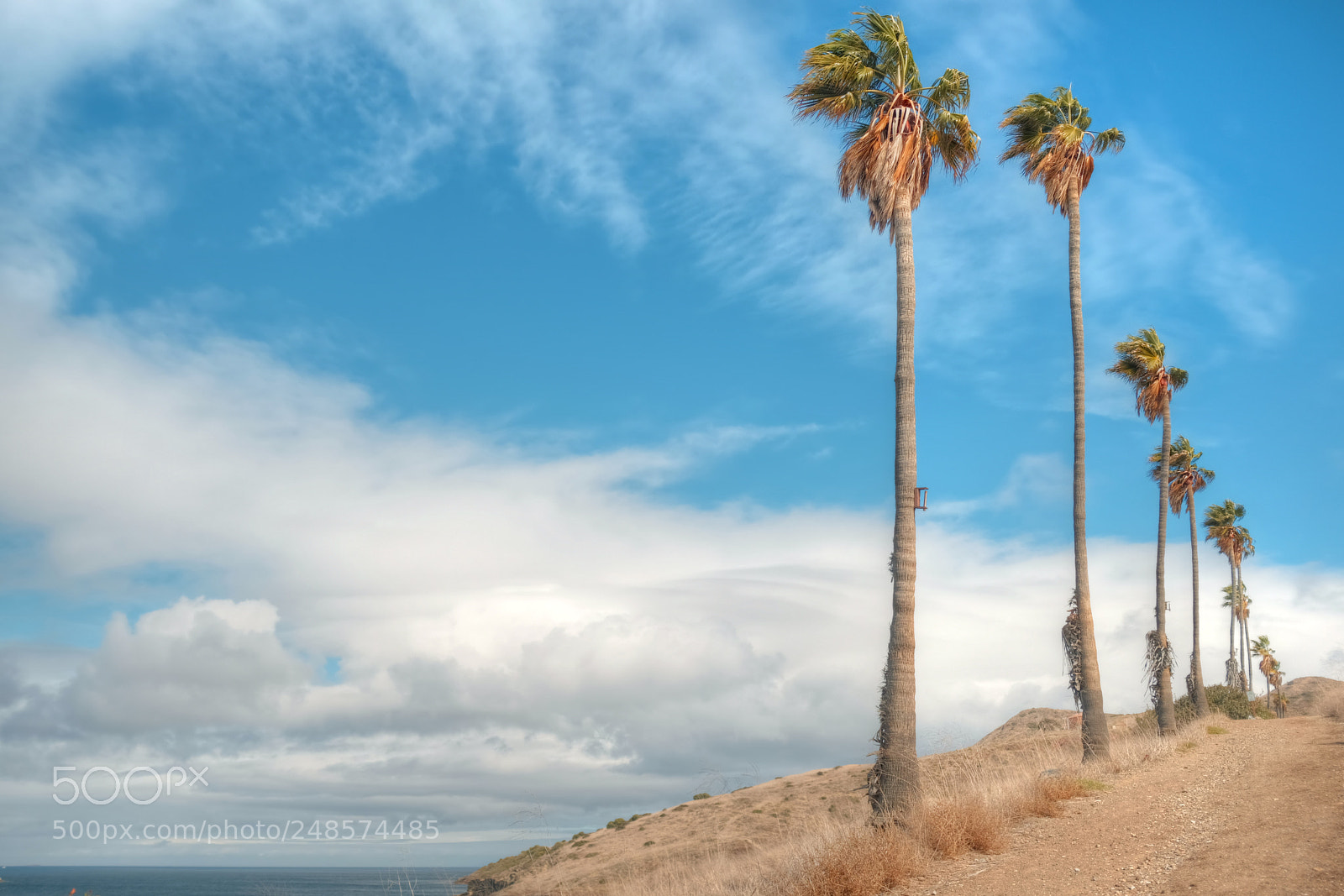 Fujifilm X100F sample photo. Santa catalina island photography
