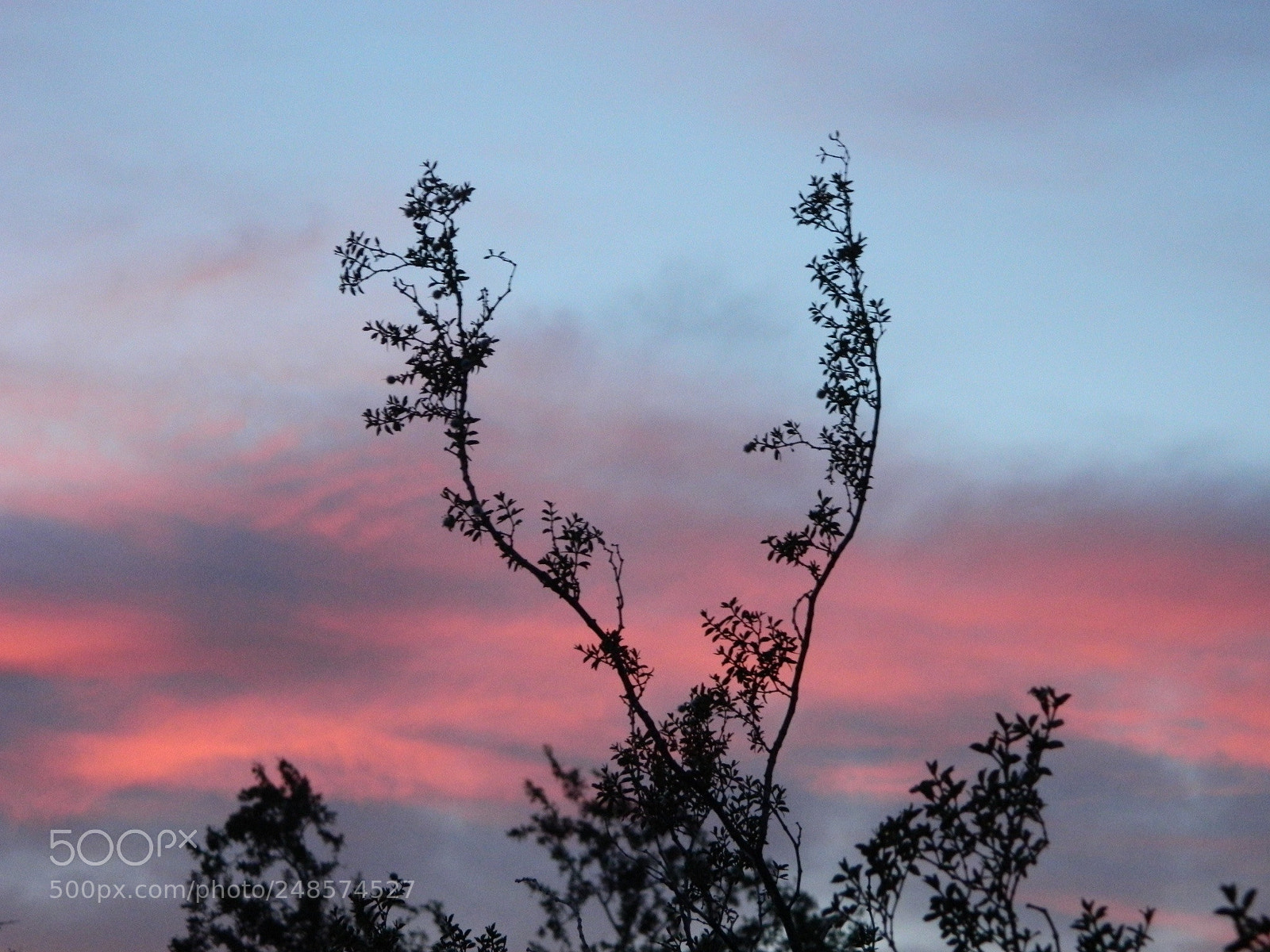 Nikon Coolpix L120 sample photo. Devils fork photography