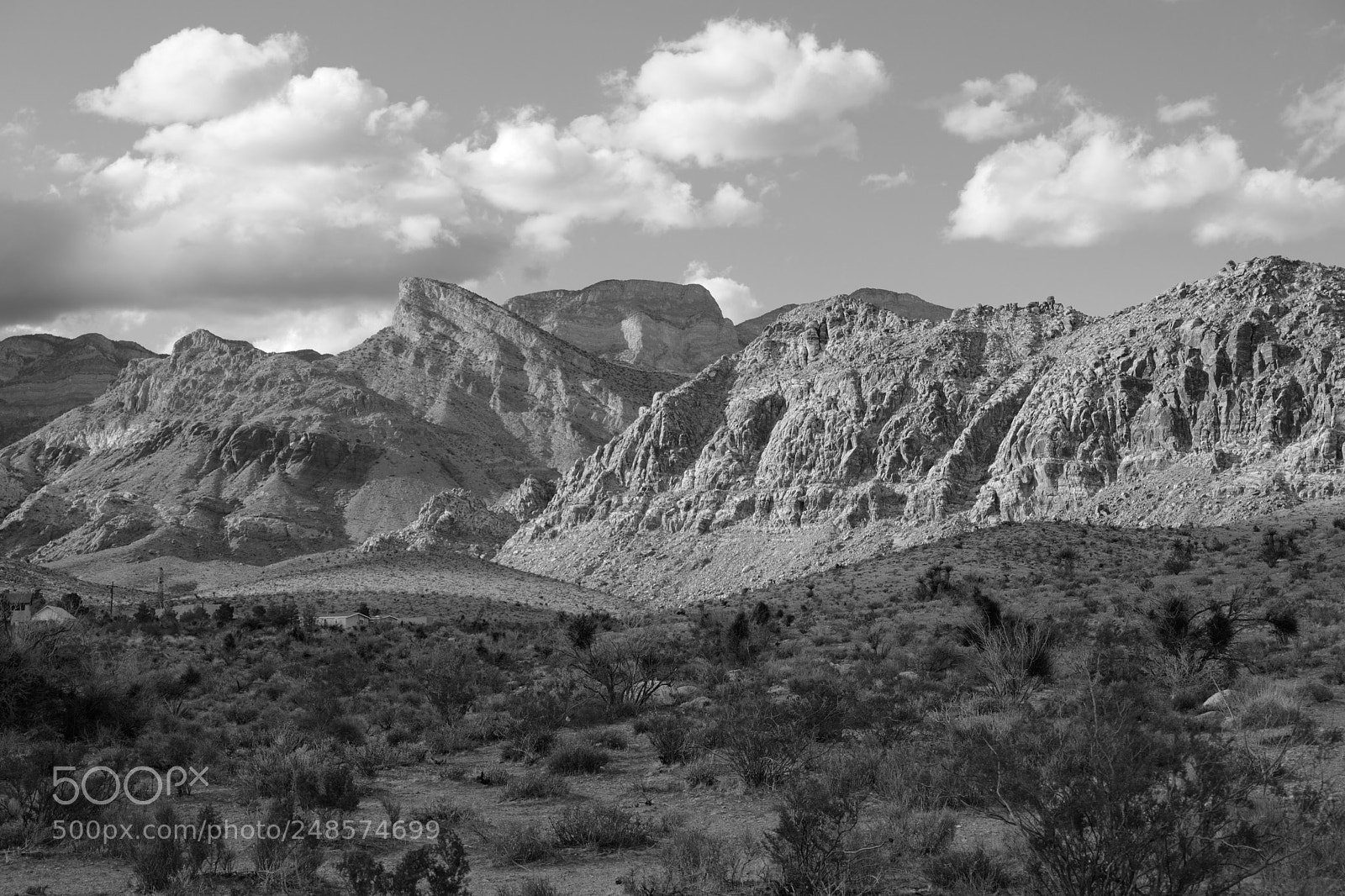 Leica CL sample photo. Untitled photography