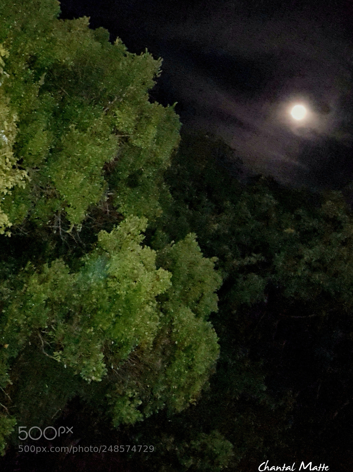 Samsung Galaxy S7 sample photo. Full moon photography