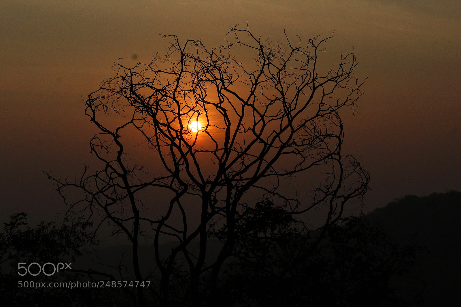 Canon EOS 1200D (EOS Rebel T5 / EOS Kiss X70 / EOS Hi) sample photo. Sunrise photography