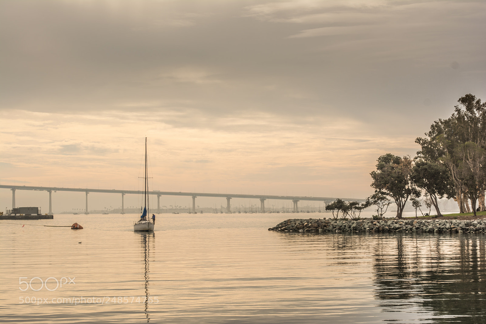 Nikon D5200 sample photo. Bay area in san photography
