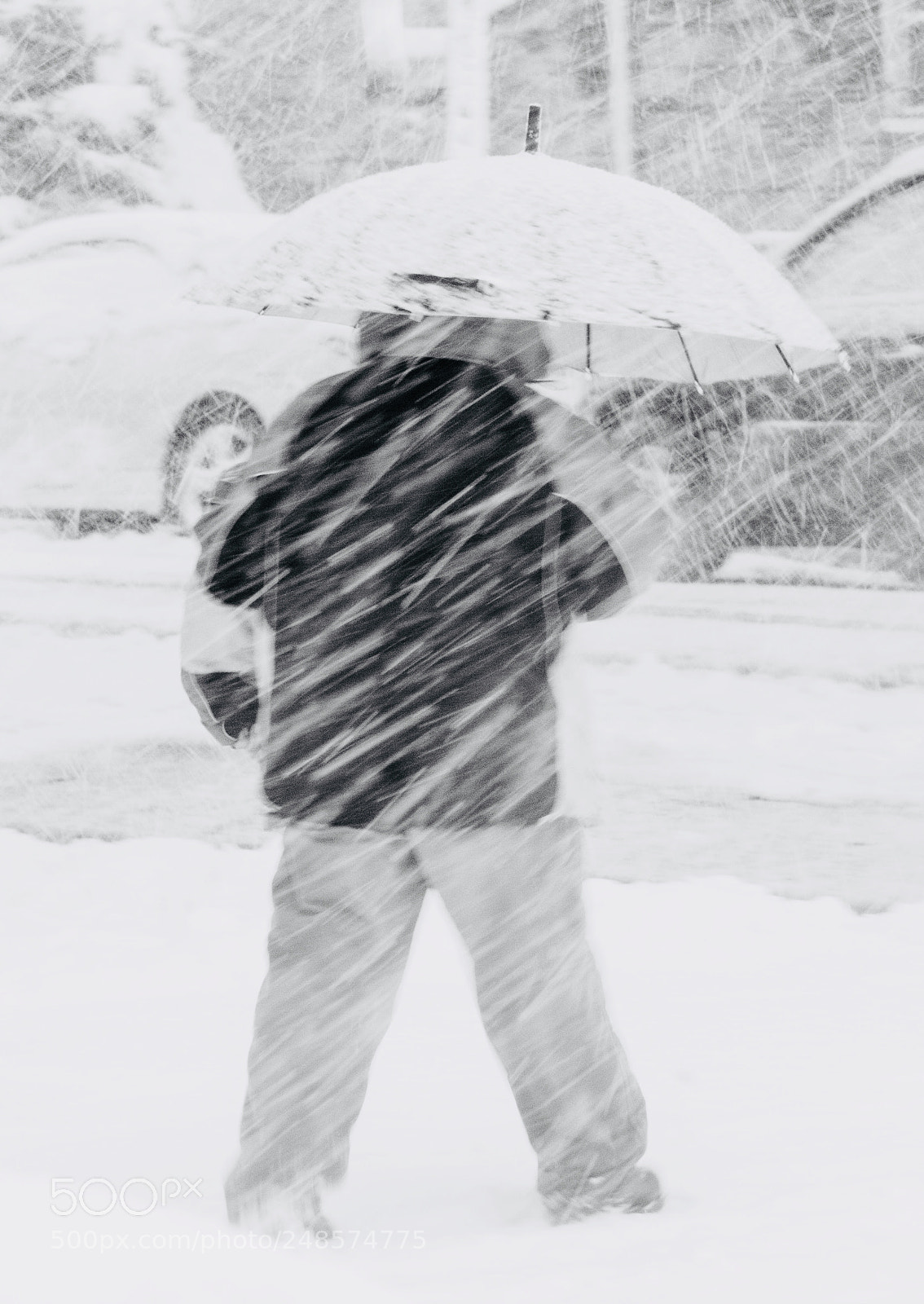 Sony a6000 sample photo. Against the snow storm photography