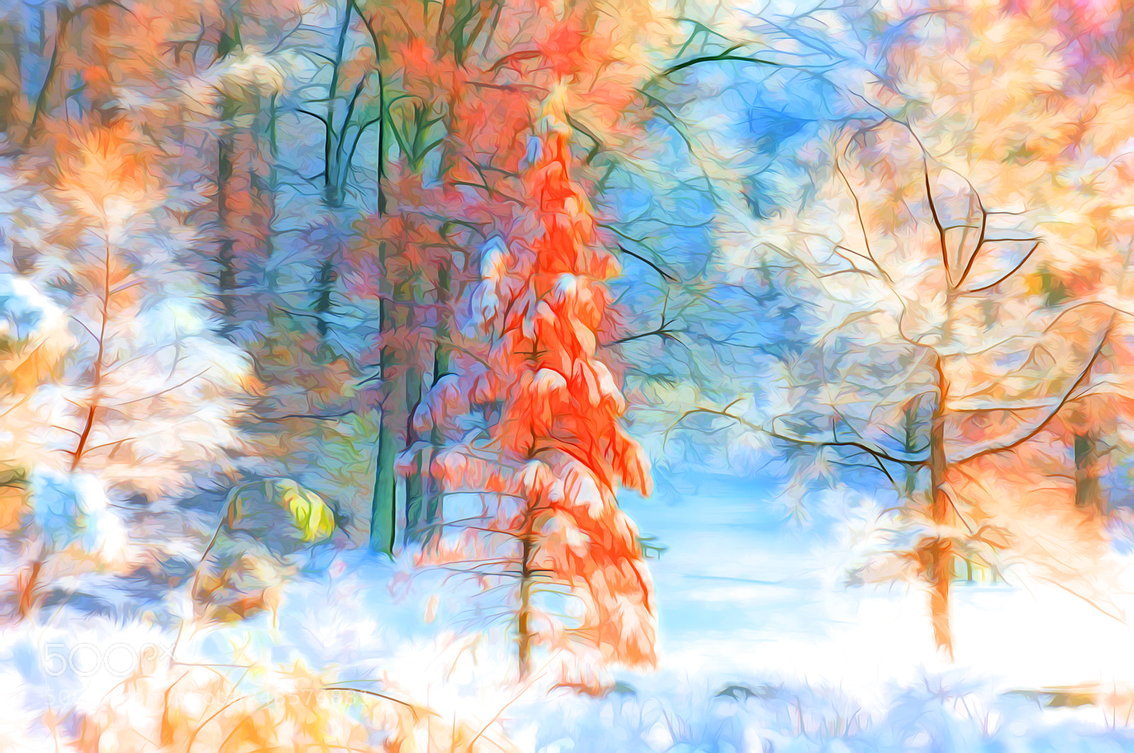 Sony Alpha NEX-6 sample photo. Late autumn snow photography