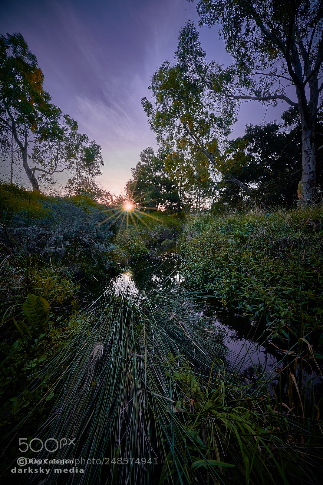 Sony a7R III sample photo. Ripplebrook nightfall photography