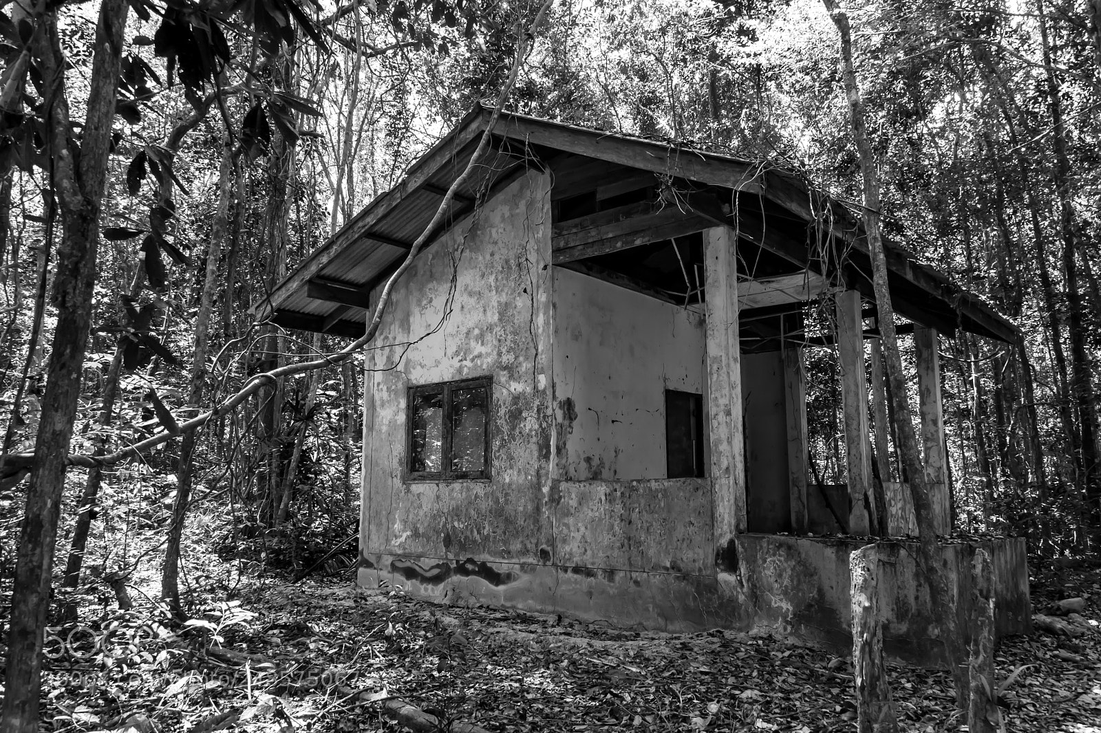 Nikon D5300 sample photo. The abandoned prison i photography