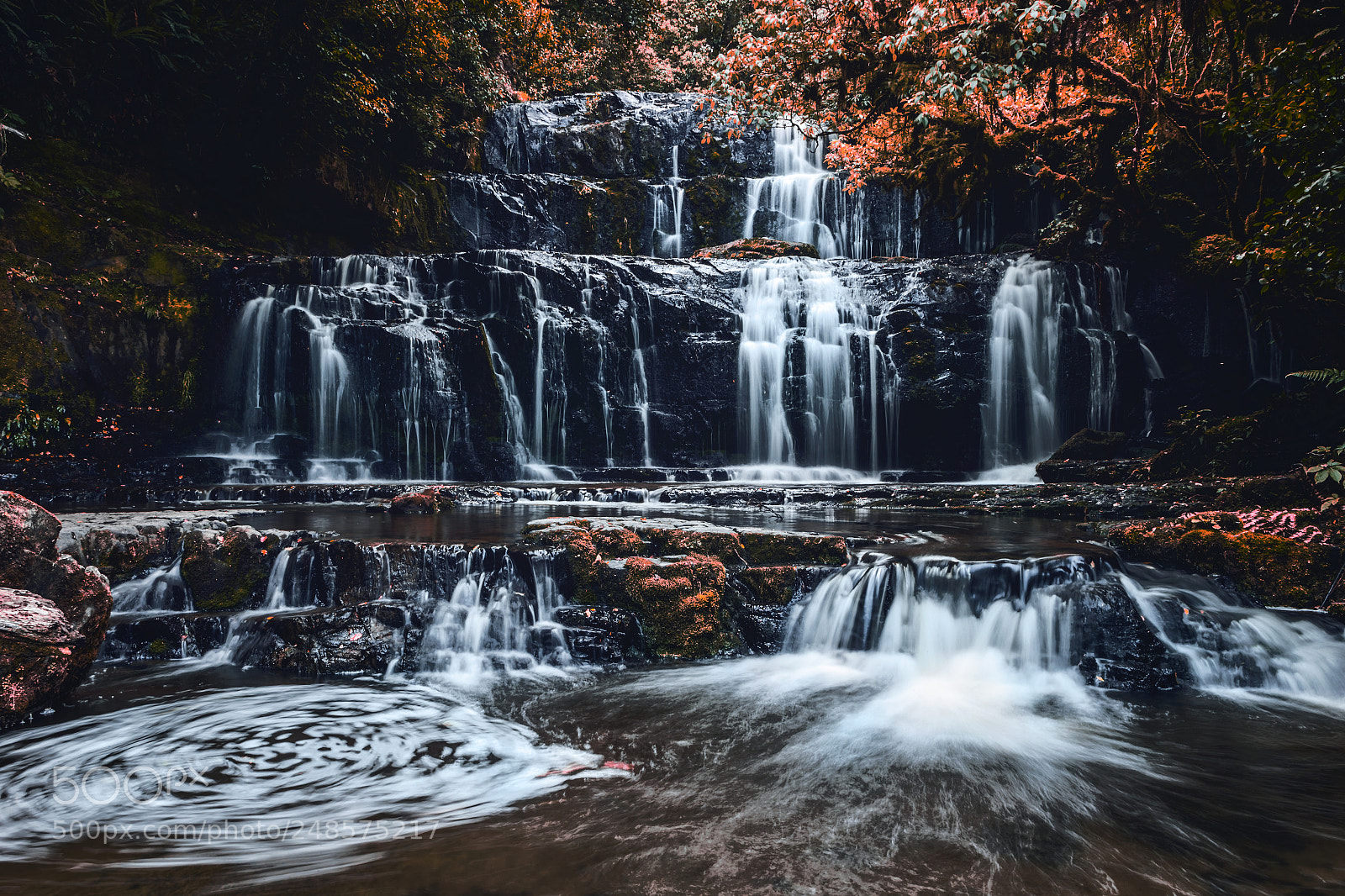 Canon EOS-1D X Mark II sample photo. Purakaunui falls photography