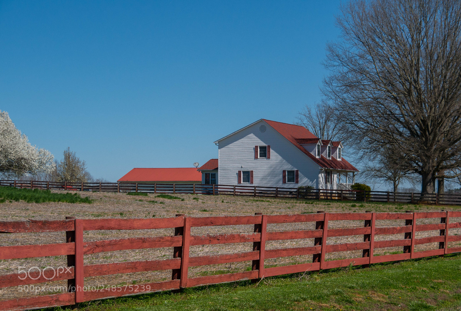 Panasonic Lumix DMC-G85 (Lumix DMC-G80) sample photo. Nice farm photography