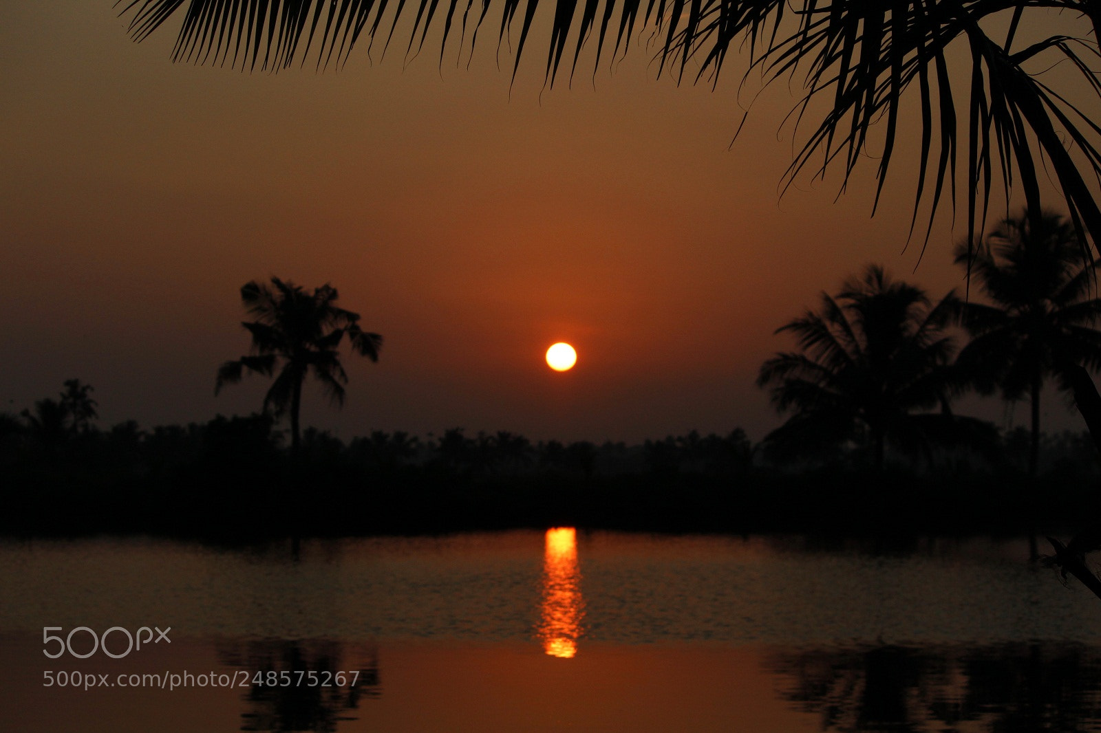 Canon EOS 1200D (EOS Rebel T5 / EOS Kiss X70 / EOS Hi) sample photo. Aleppy sunrise photography