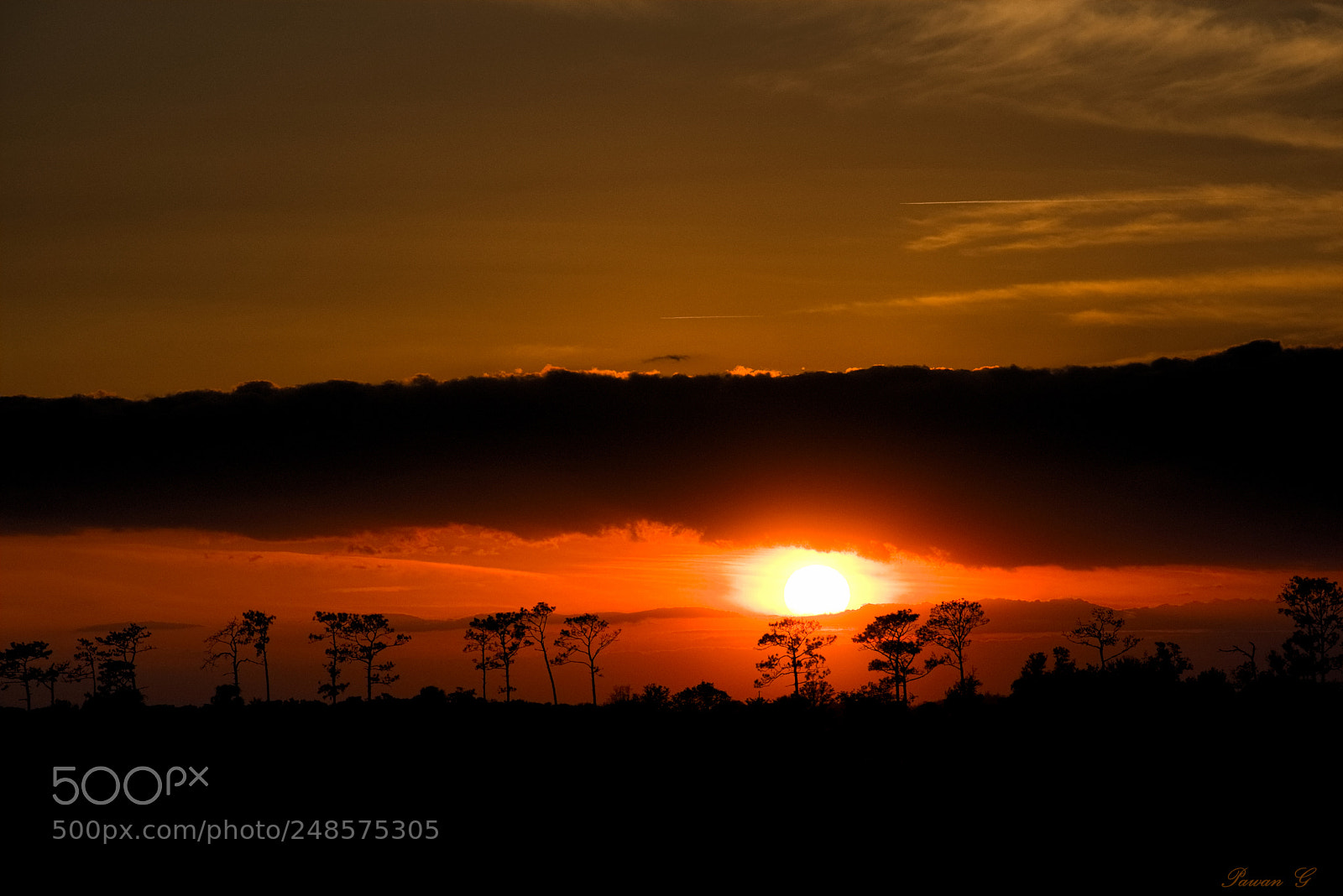 Nikon D3400 sample photo. Another florida sunset photography