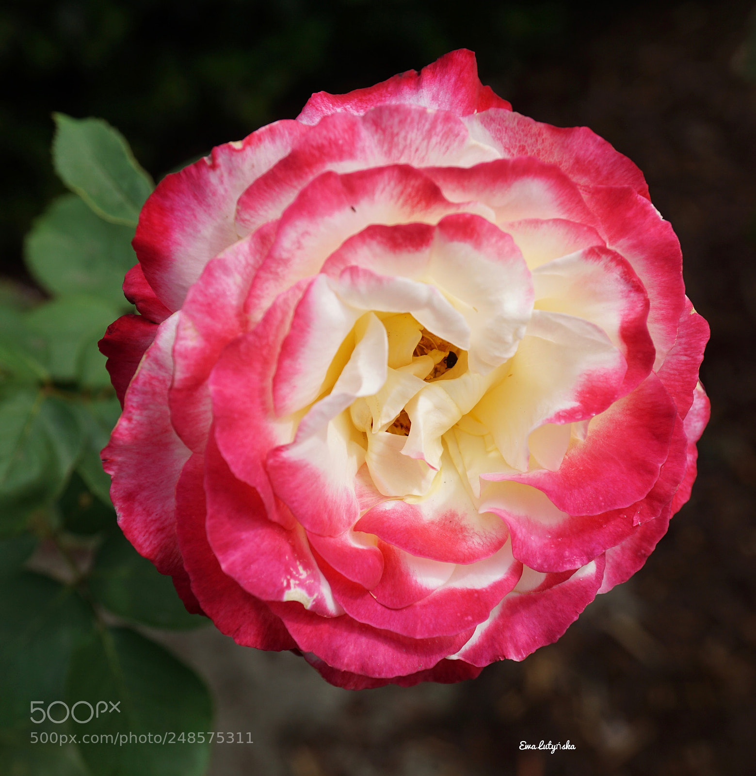 Sony a6000 sample photo. International women’s day photography