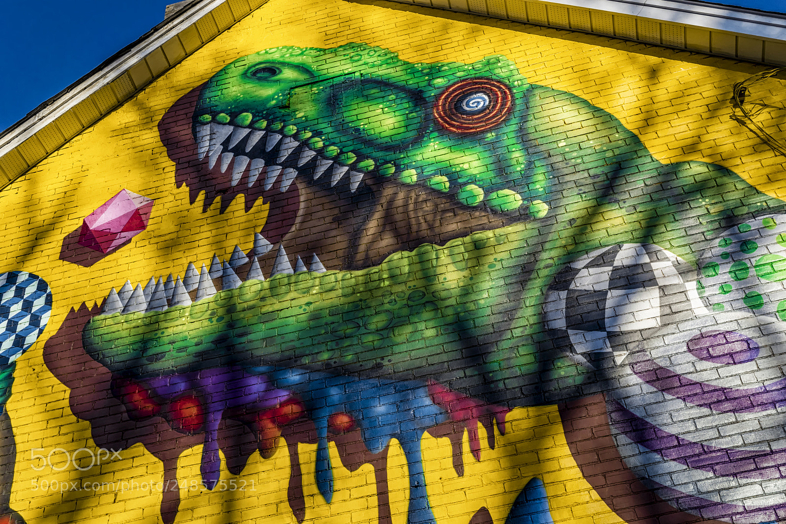 Nikon D5500 sample photo. Hungry photography
