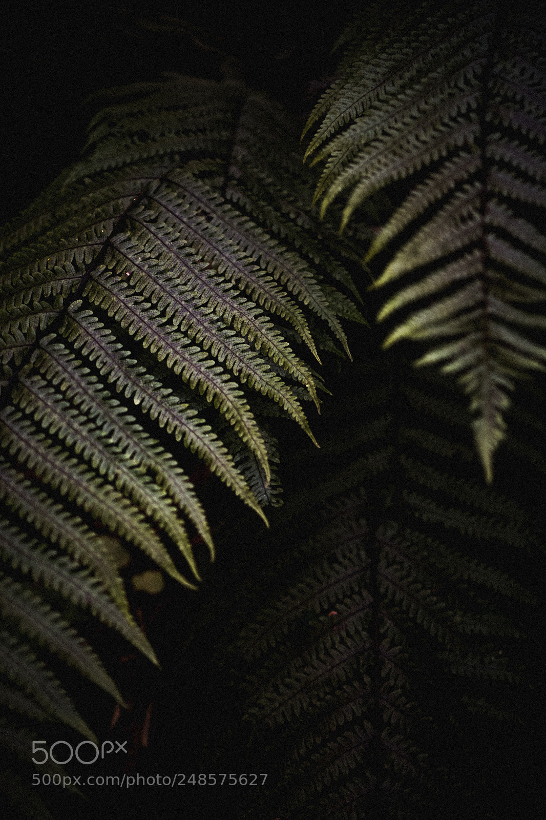 Sony a6000 sample photo. Quiet places photography
