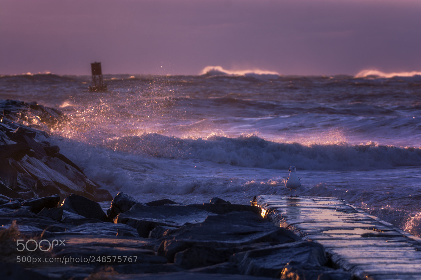 Nikon D7100 sample photo. The sea was angry photography