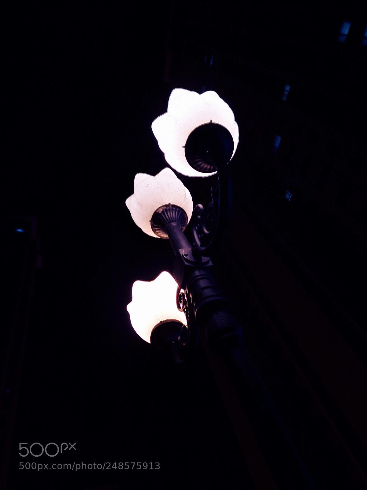HUAWEI Mate 10 sample photo. Untitled photography