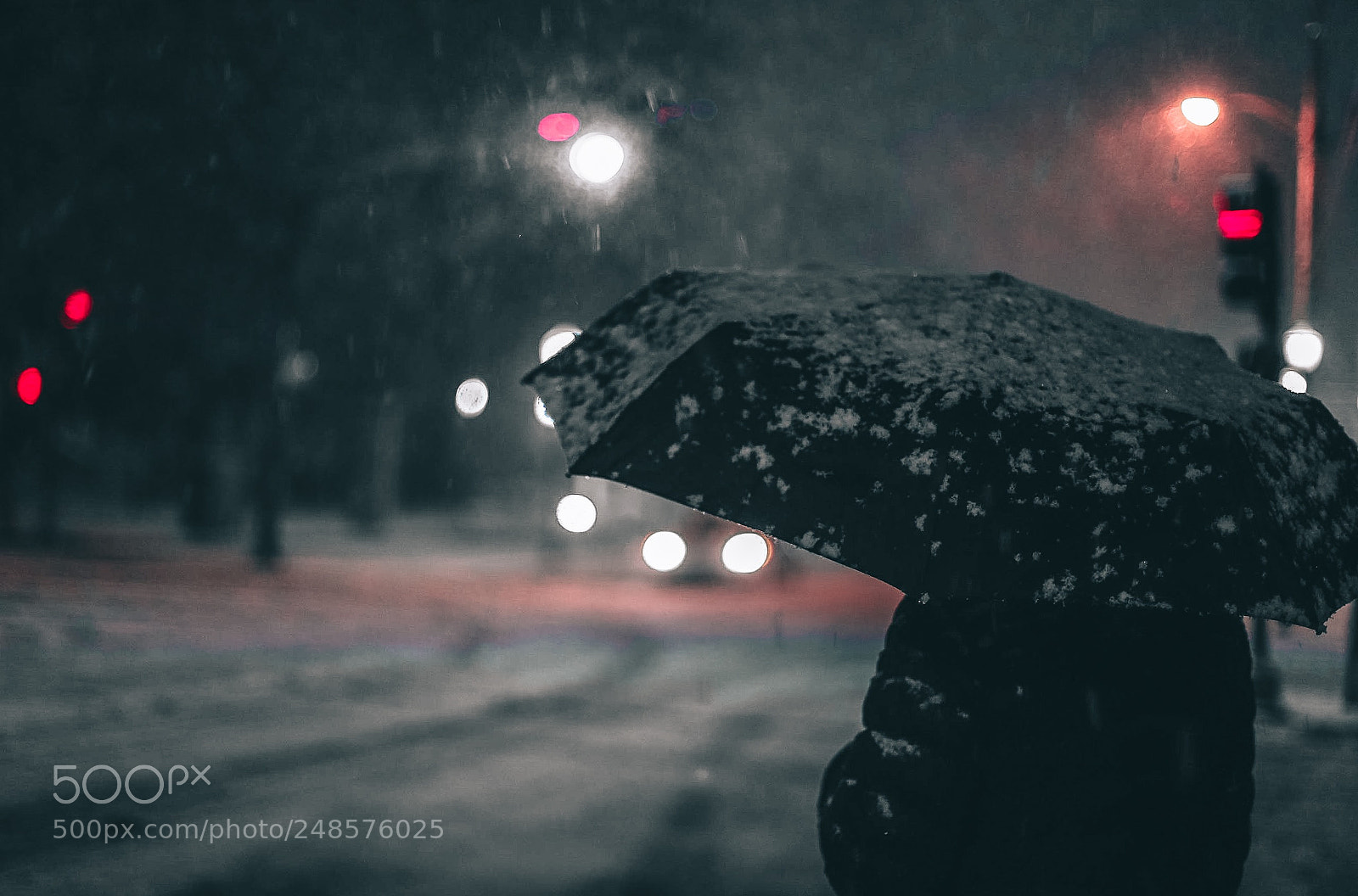 Canon EOS 6D Mark II sample photo. Untitled photography