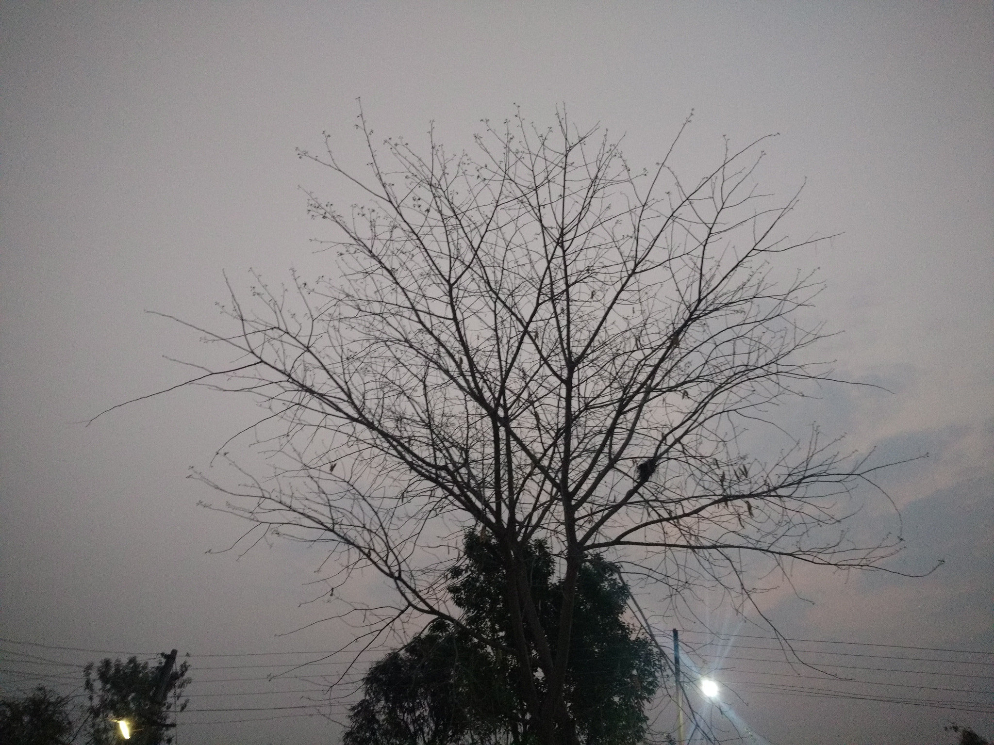 Motorola Moto X Play sample photo. Early morning beauty... photography