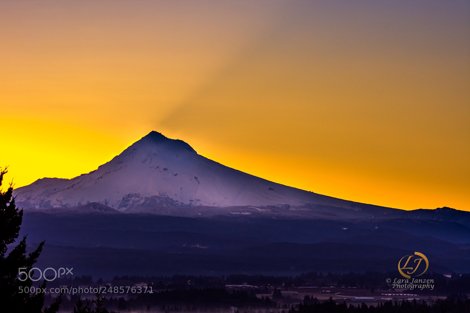 Nikon D7200 sample photo. Mt. hood throwing a photography