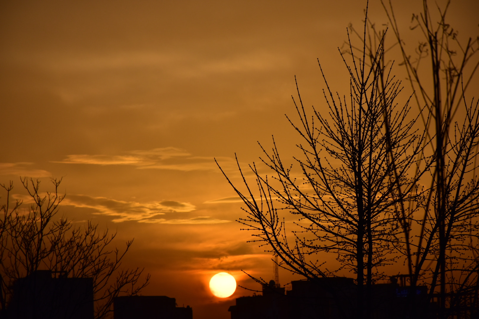 Nikon D5500 sample photo
