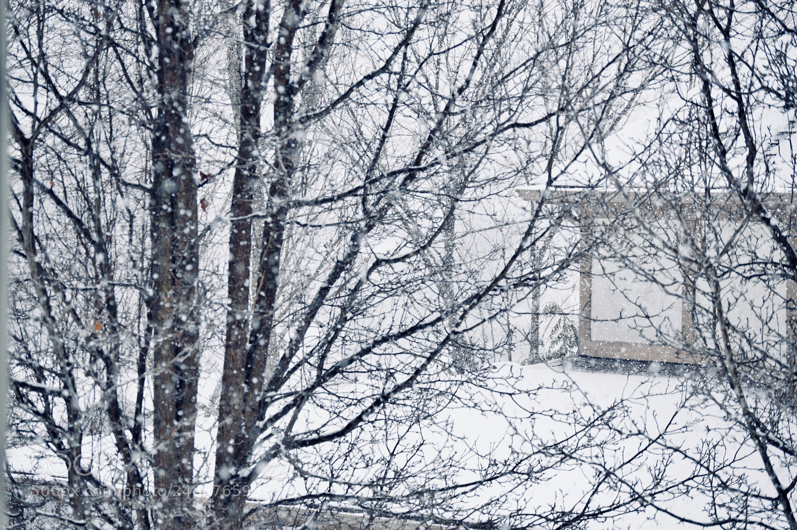 Nikon D3200 sample photo. Snow again? photography