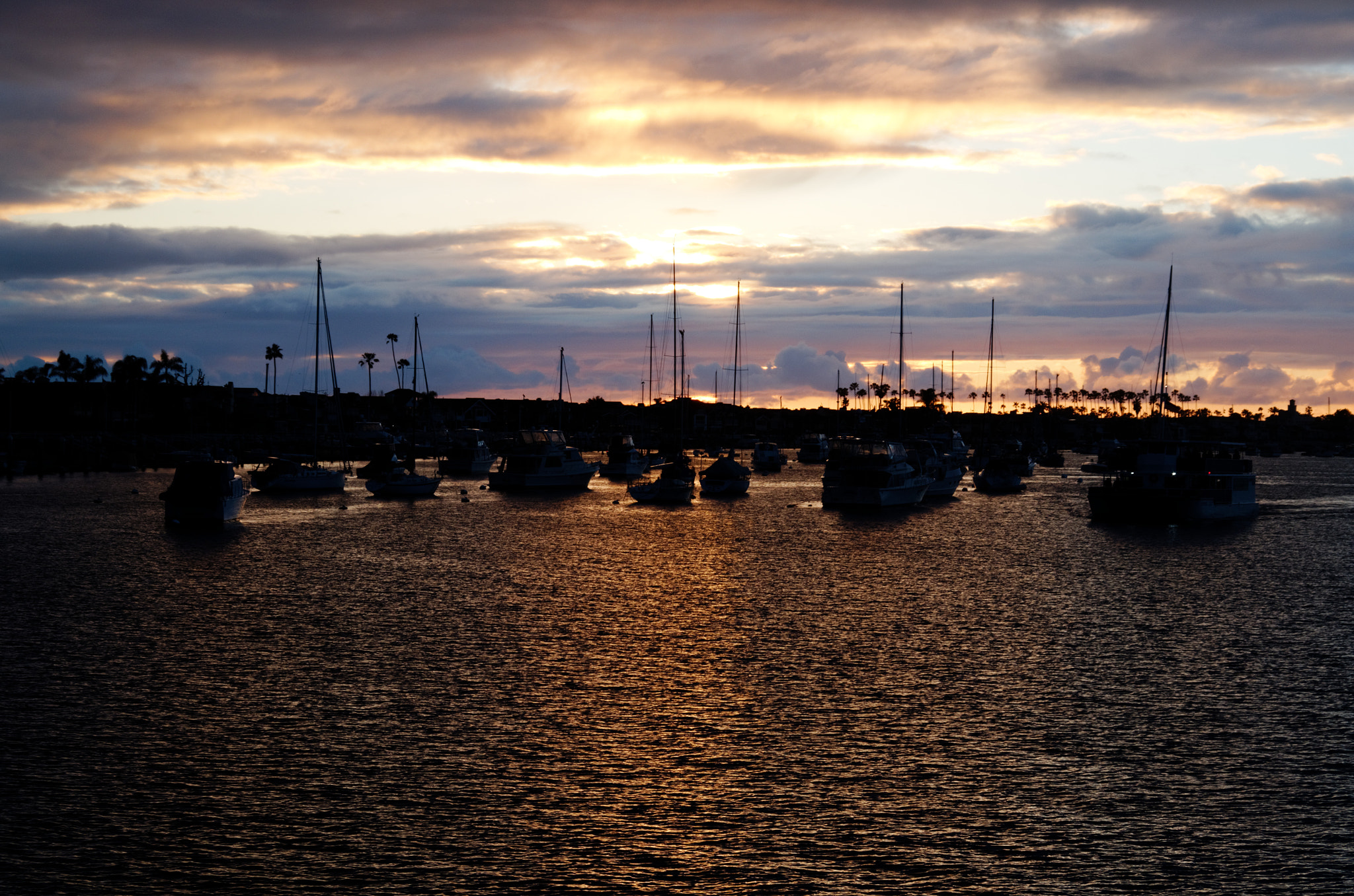 Pentax K-50 + smc Pentax-DA L 50-200mm F4-5.6 ED WR sample photo. Newport beach, ca photography