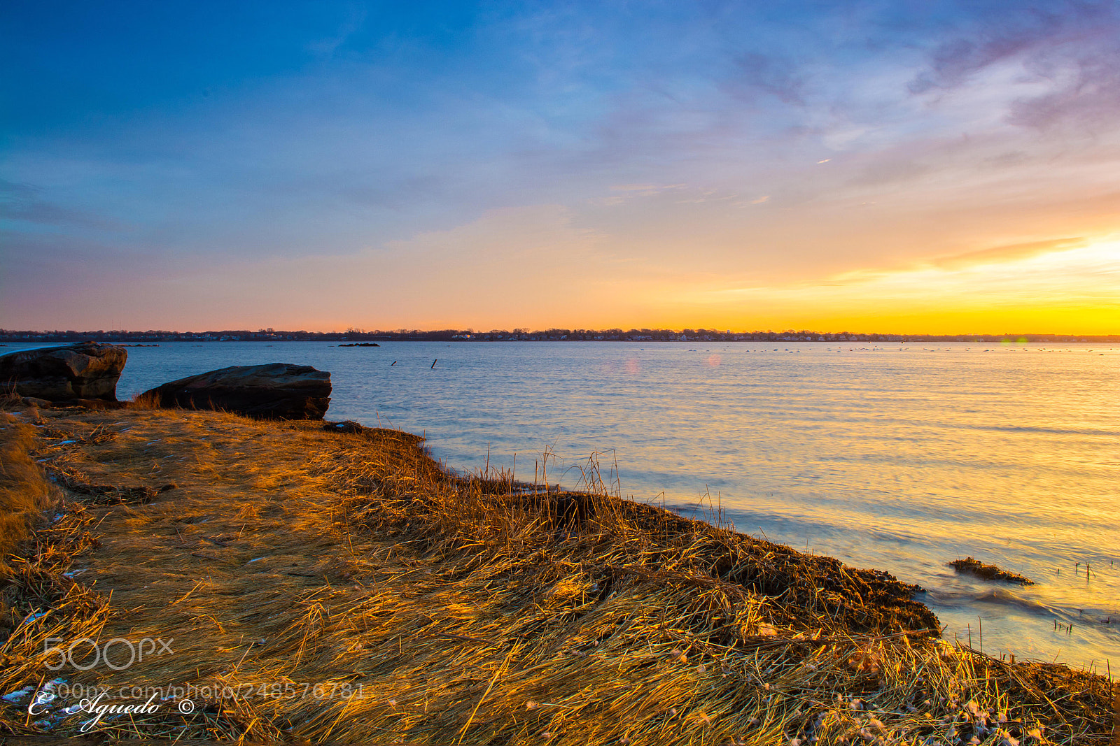 Nikon D5200 sample photo. Beach grass photography