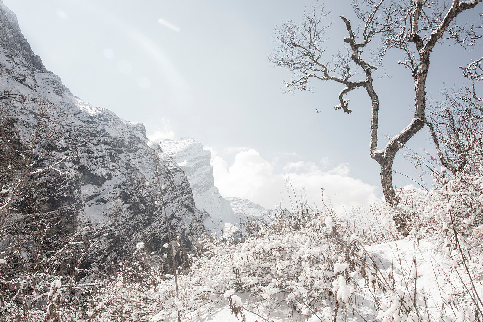 Nikon D810 sample photo. Abc trekking in nepal . photography