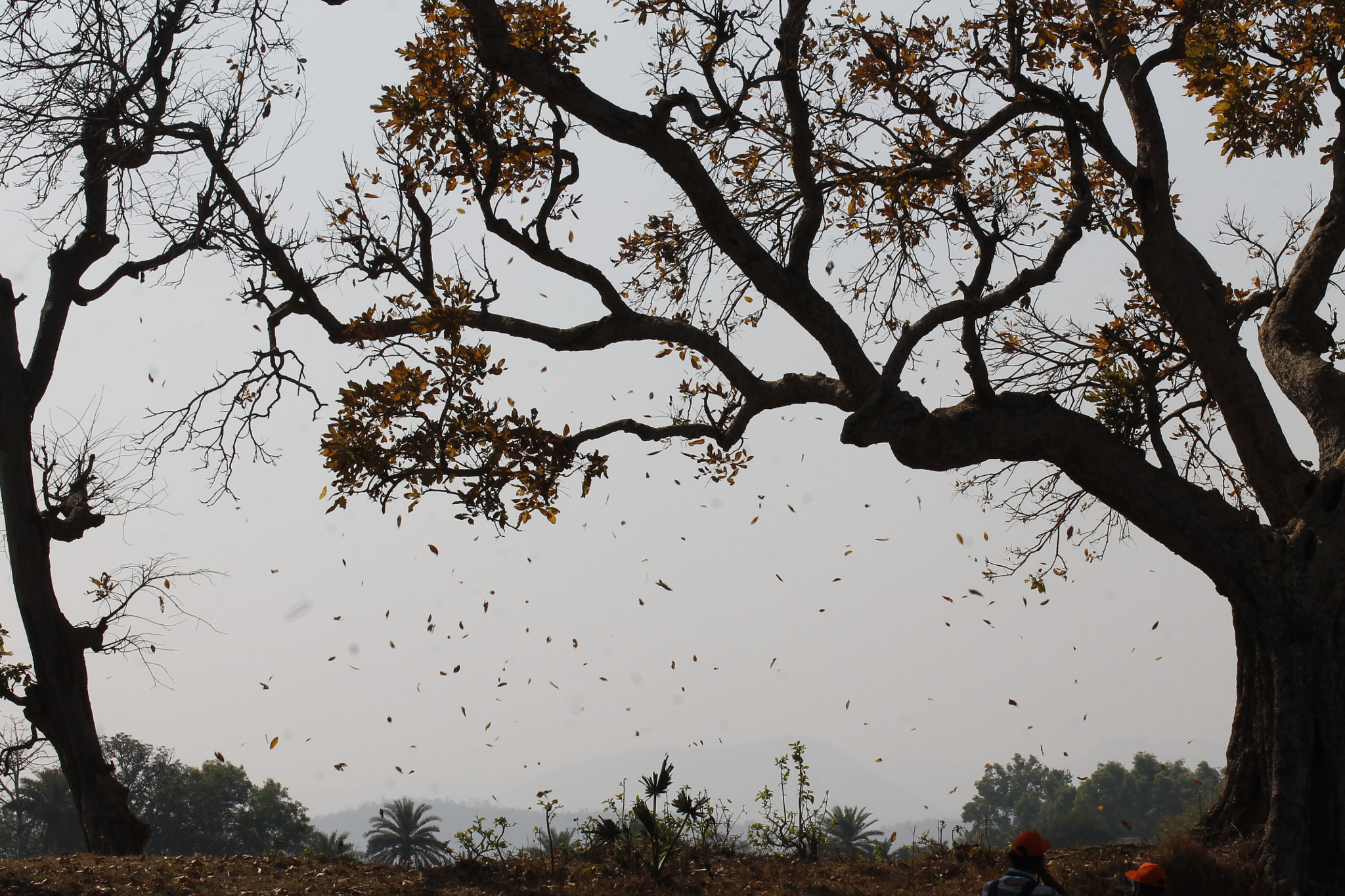 Canon EOS 1100D (EOS Rebel T3 / EOS Kiss X50) sample photo. P a s t . . . photography