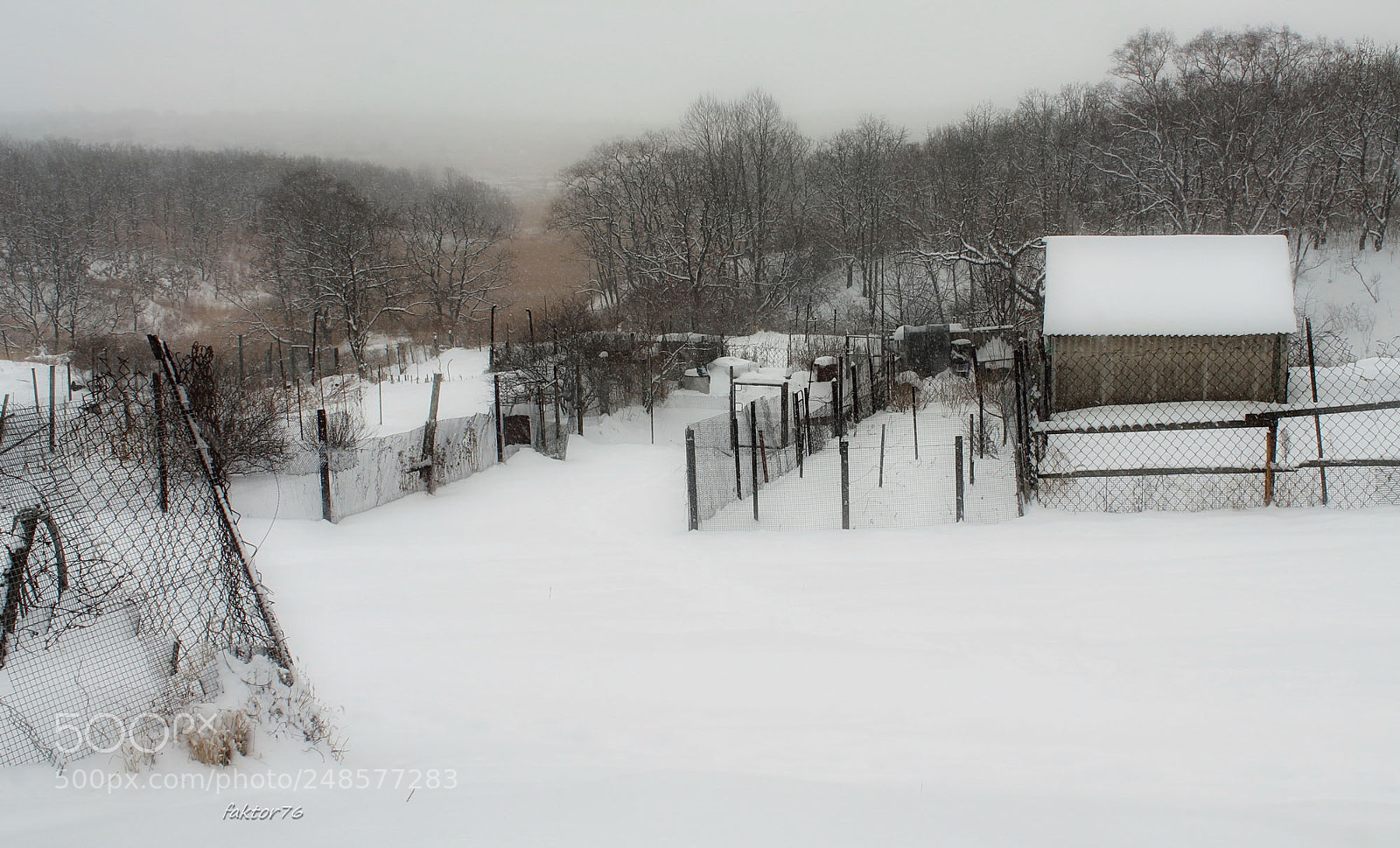 Canon EOS 1100D (EOS Rebel T3 / EOS Kiss X50) sample photo. It's winter again  ✔ photography