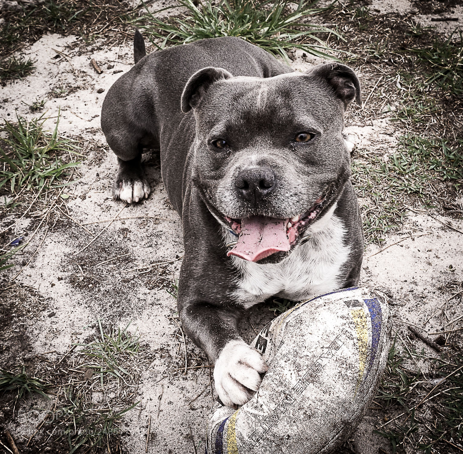 Sony a6000 sample photo. Loves football photography