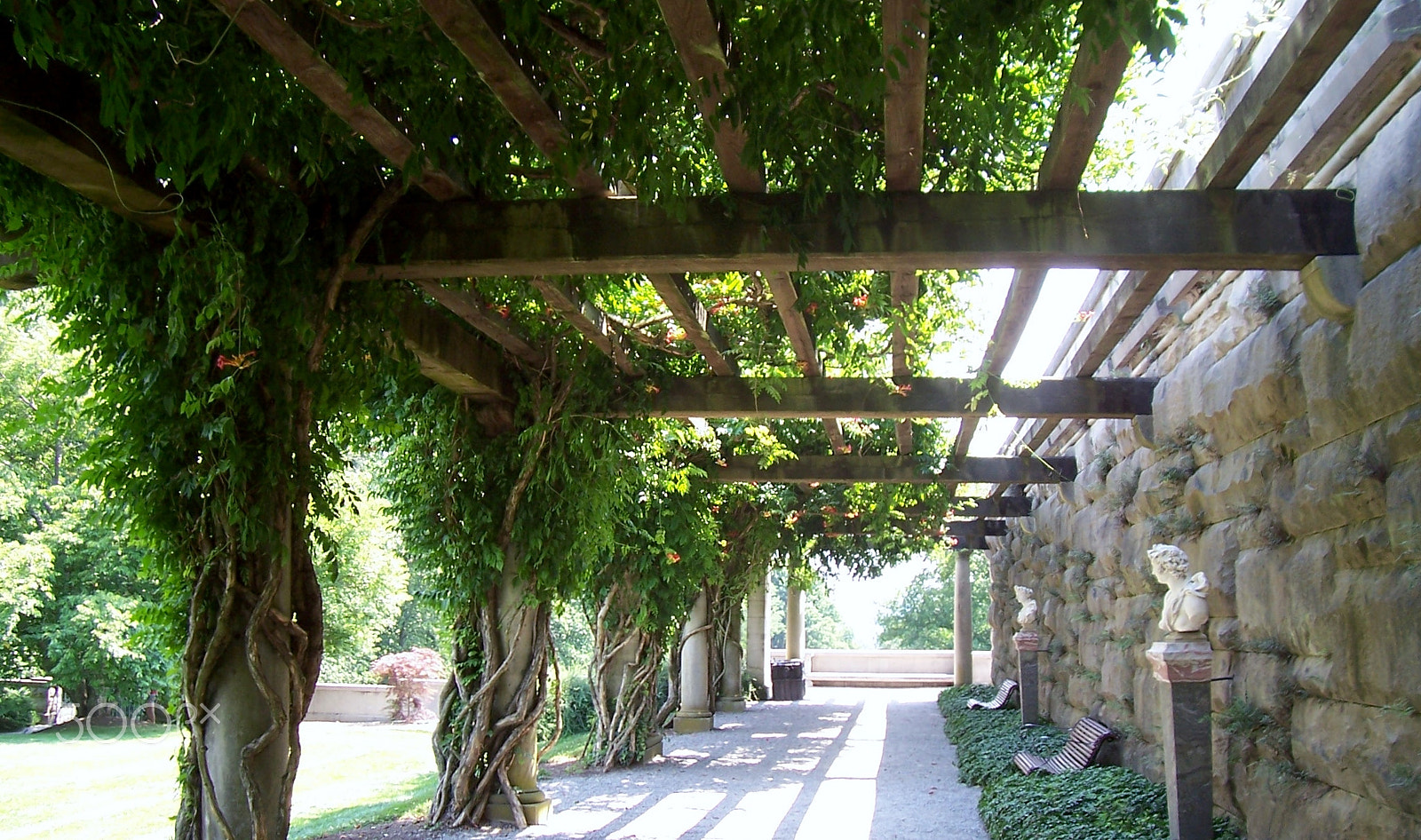 Kodak CX7430 ZOOM DIGITAL CAMERA sample photo. Biltmore arbor photography