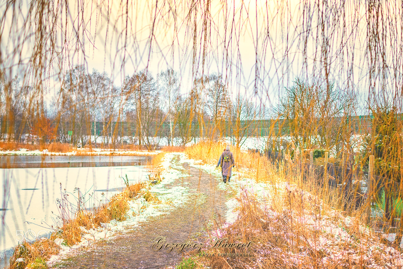 Nikon D800 sample photo. Spacer nad zimowym stawem photography