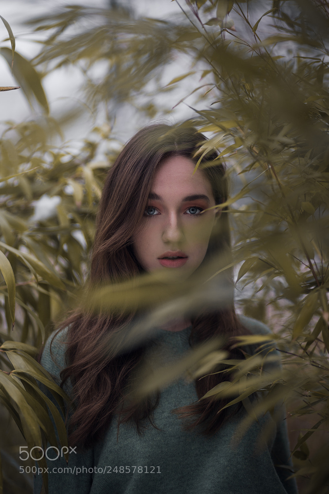 Sony a7R III sample photo. Untitled photography
