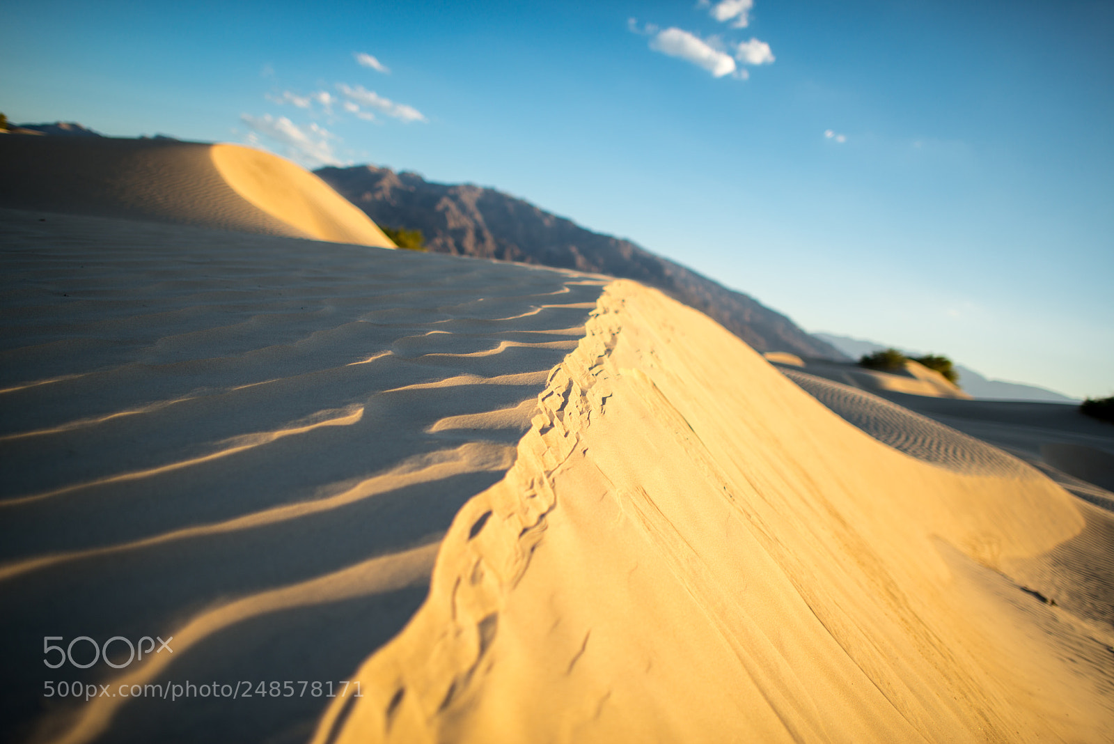Nikon D800E sample photo. Desert photography