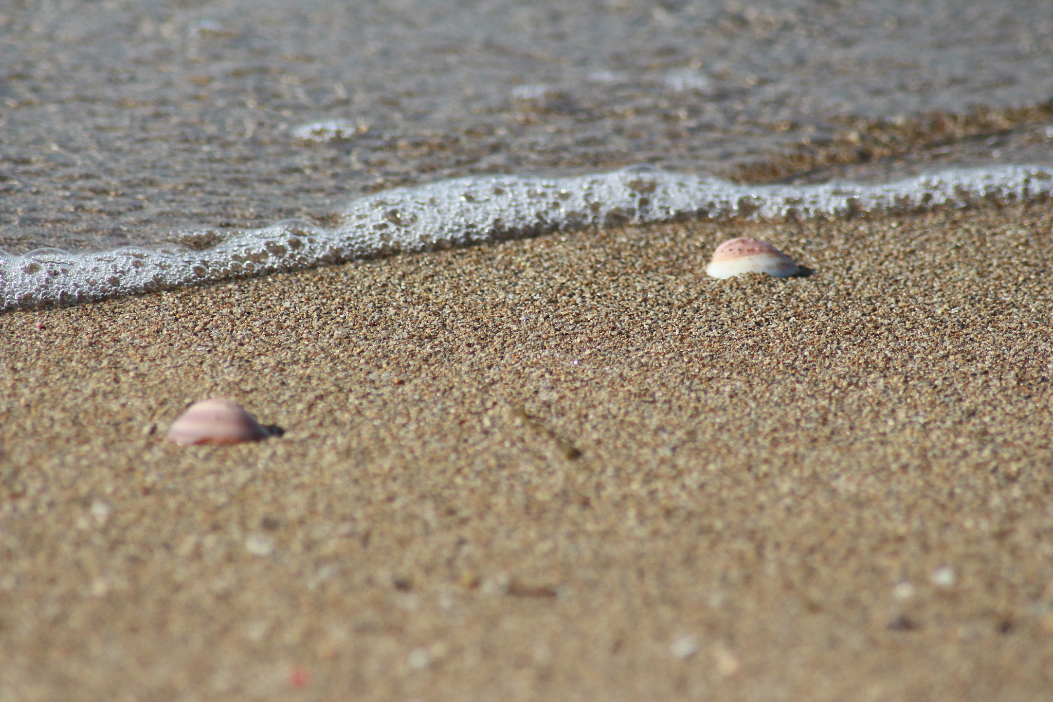 Canon EOS 700D (EOS Rebel T5i / EOS Kiss X7i) sample photo. On the beach photography