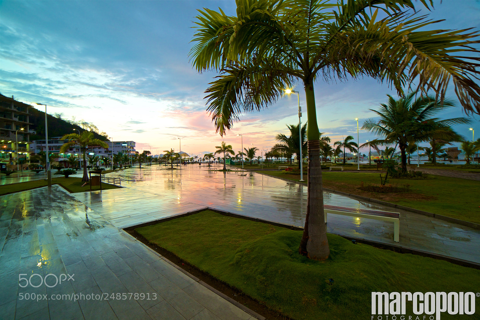 Nikon D800 sample photo. After rain photography